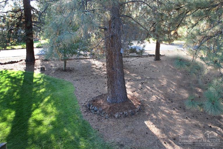 Kings Forest - Residential