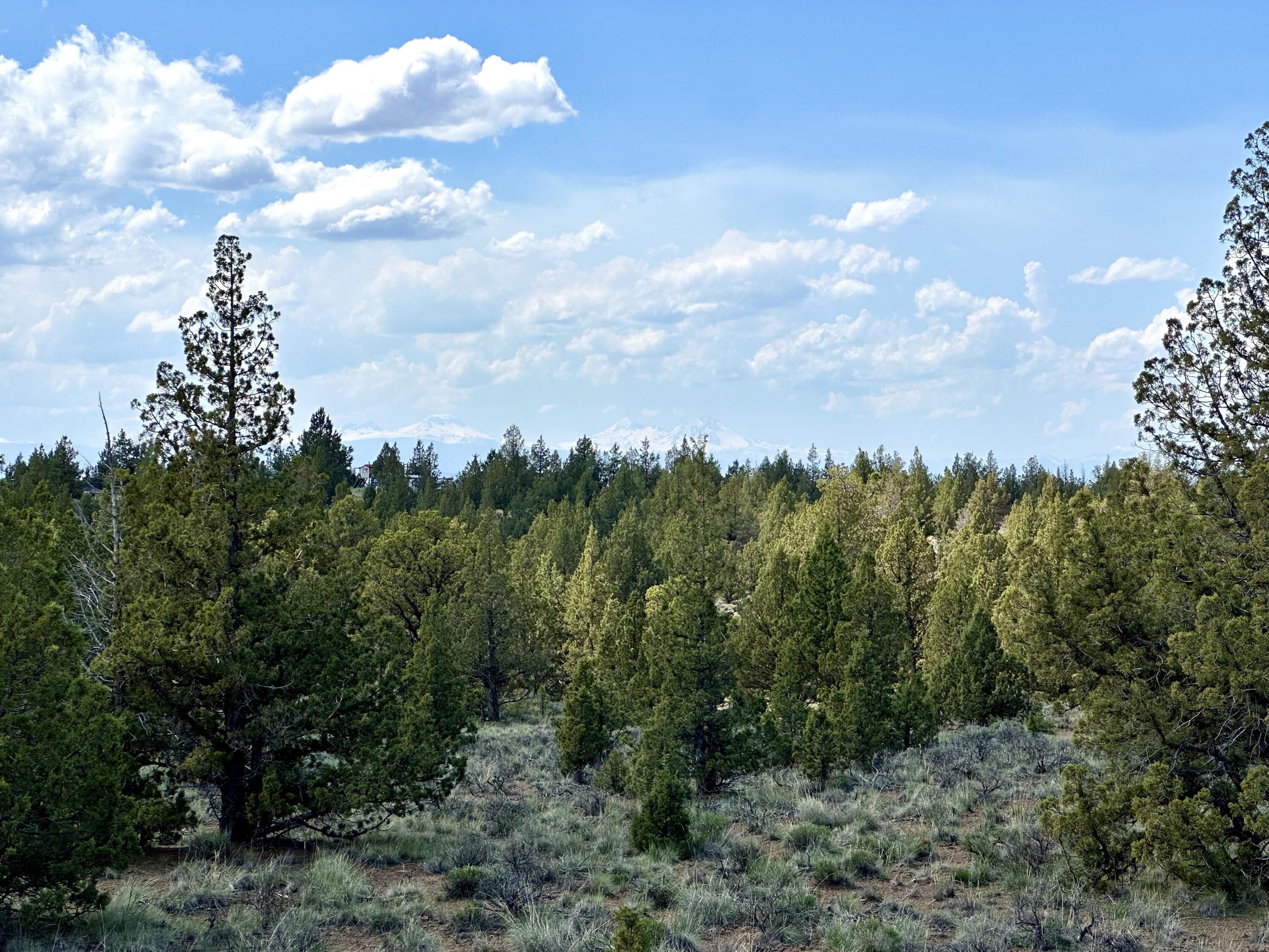 Juniper Acres - Residential