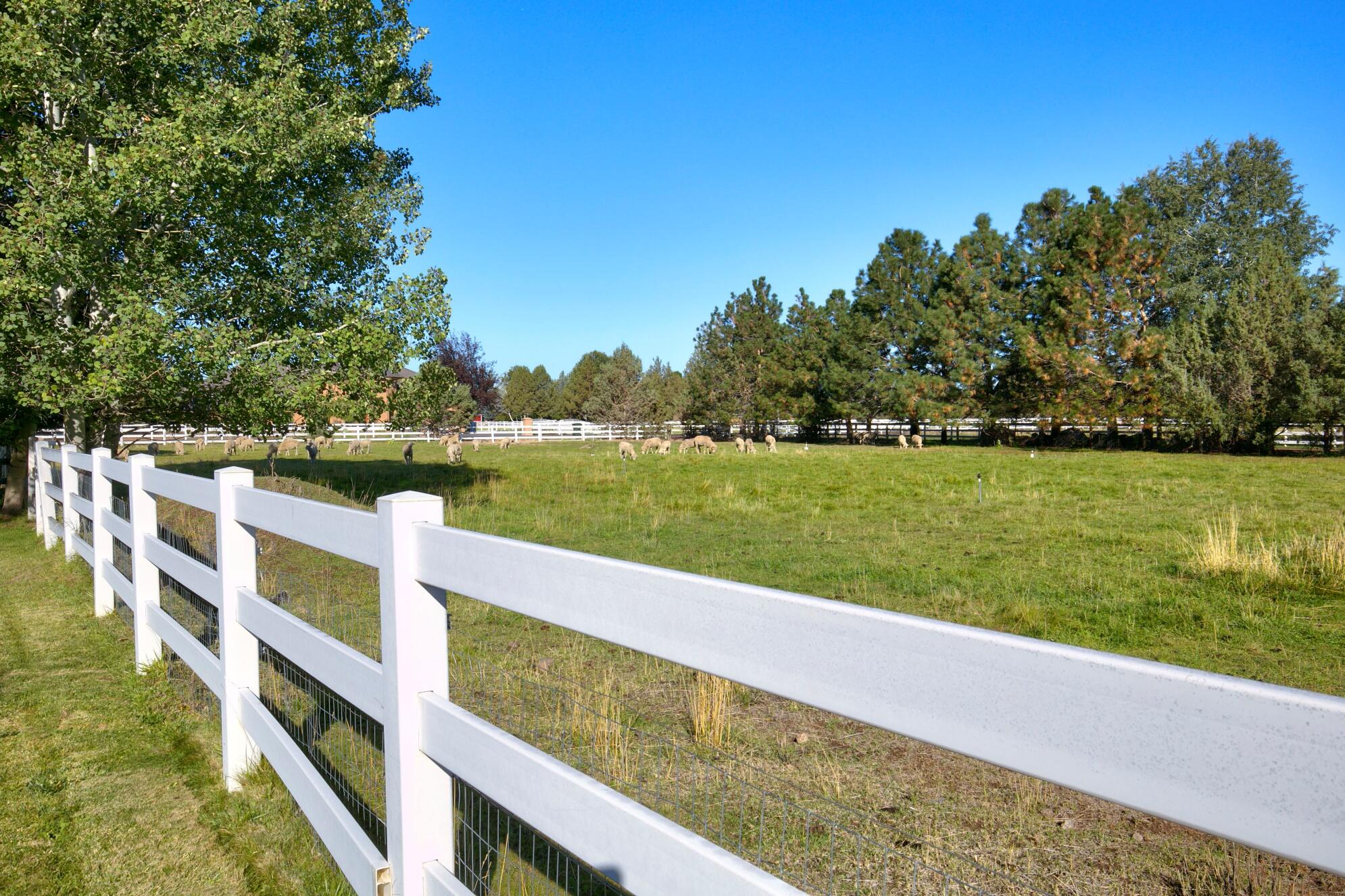 Highland Estate - Residential