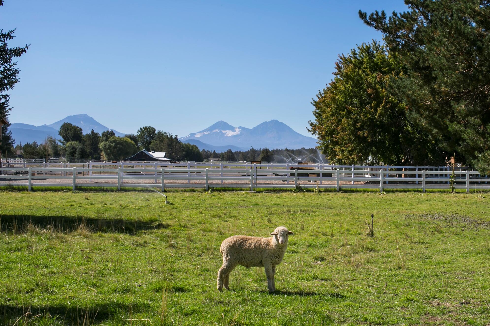 Highland Estate - Residential