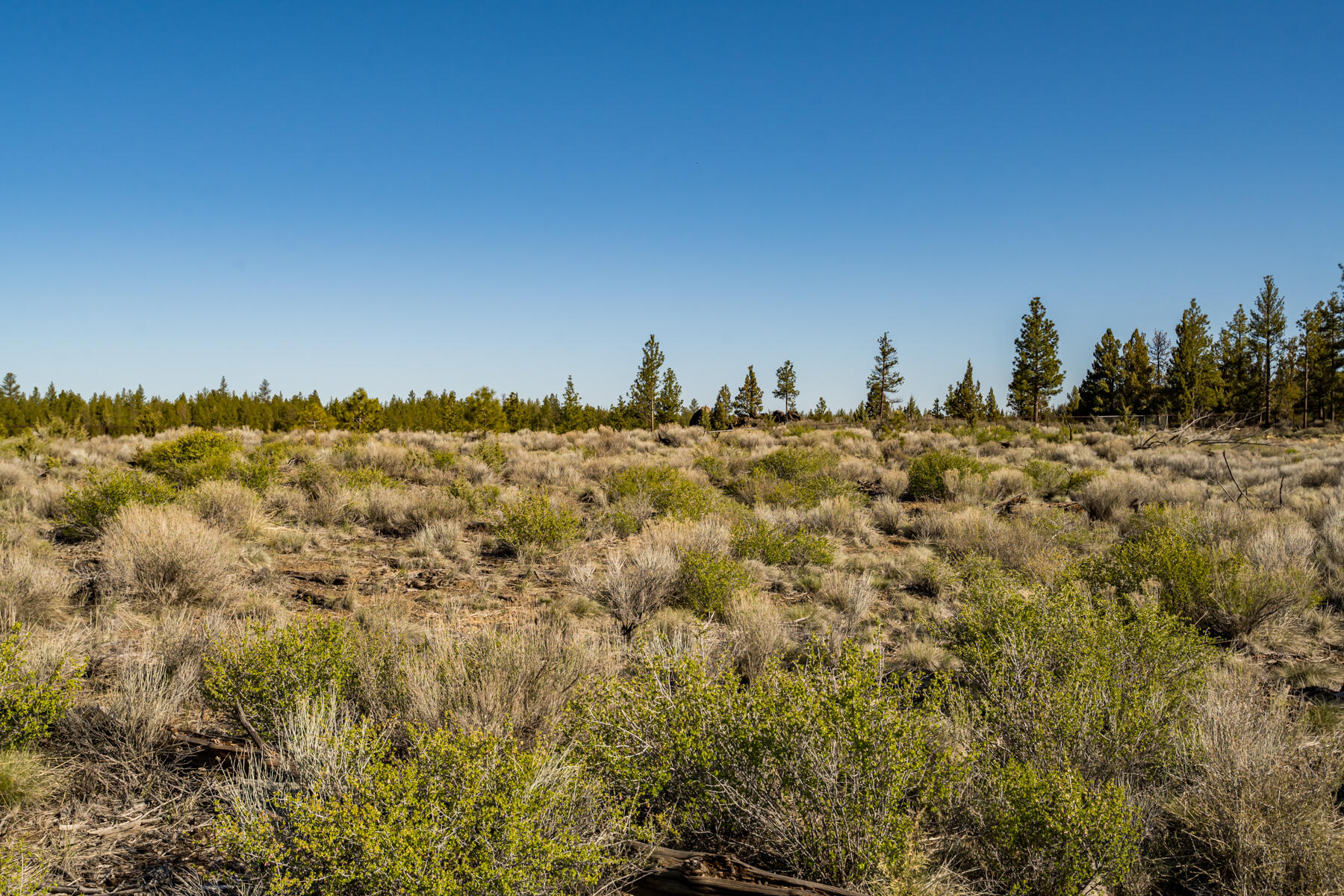 Skyline Ranch - Land