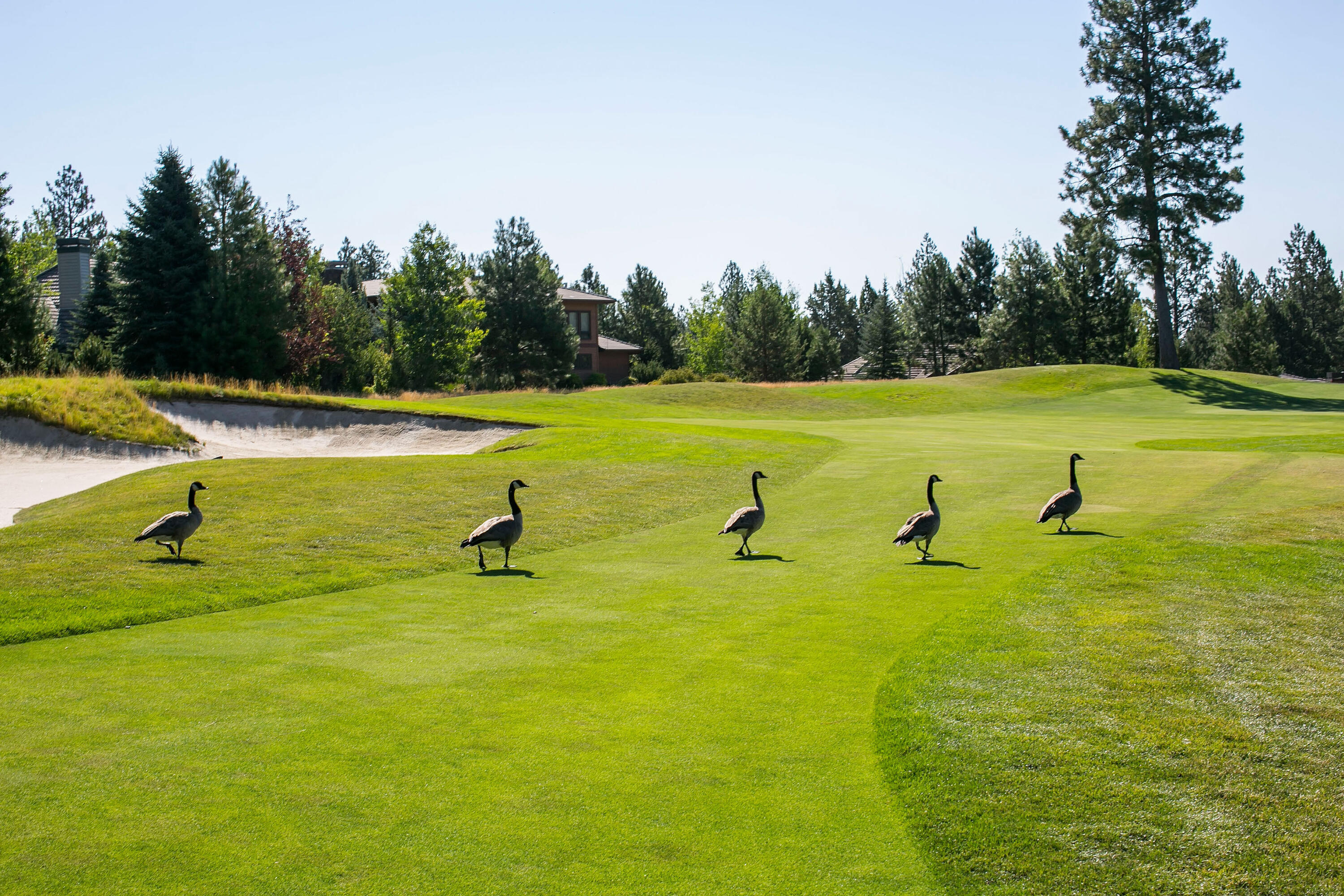 Broken Top - Residential