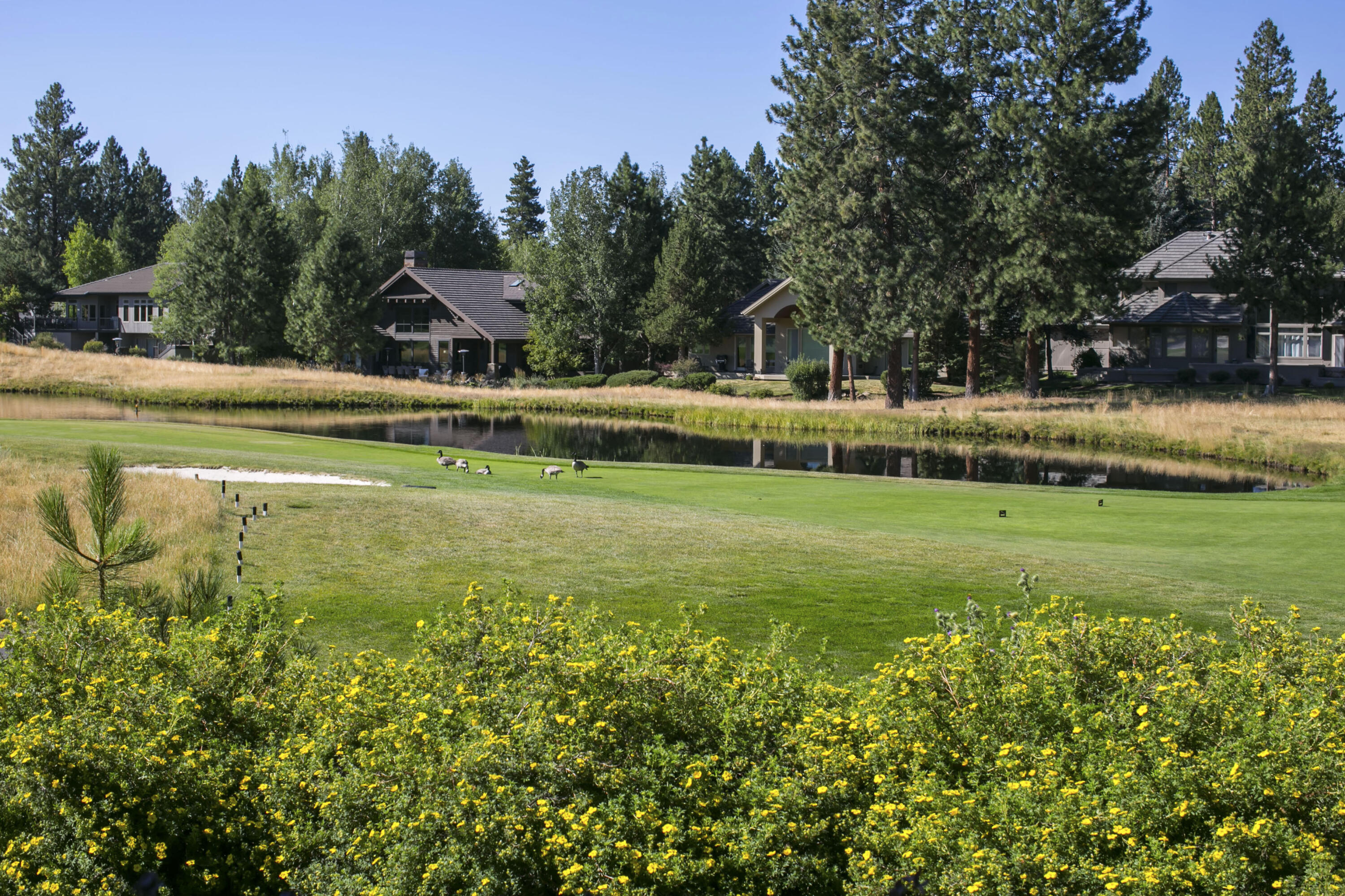 Broken Top - Residential