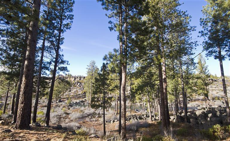 River Rim - Residential