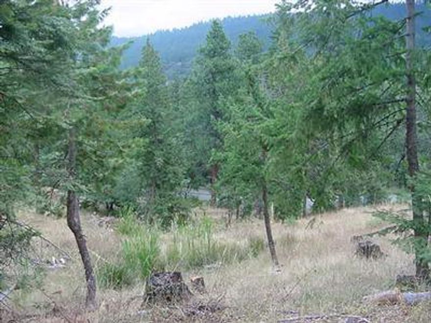 Beautiful view from this bare land lot. Very rare to find property for sale in this area. Great site for Log home.