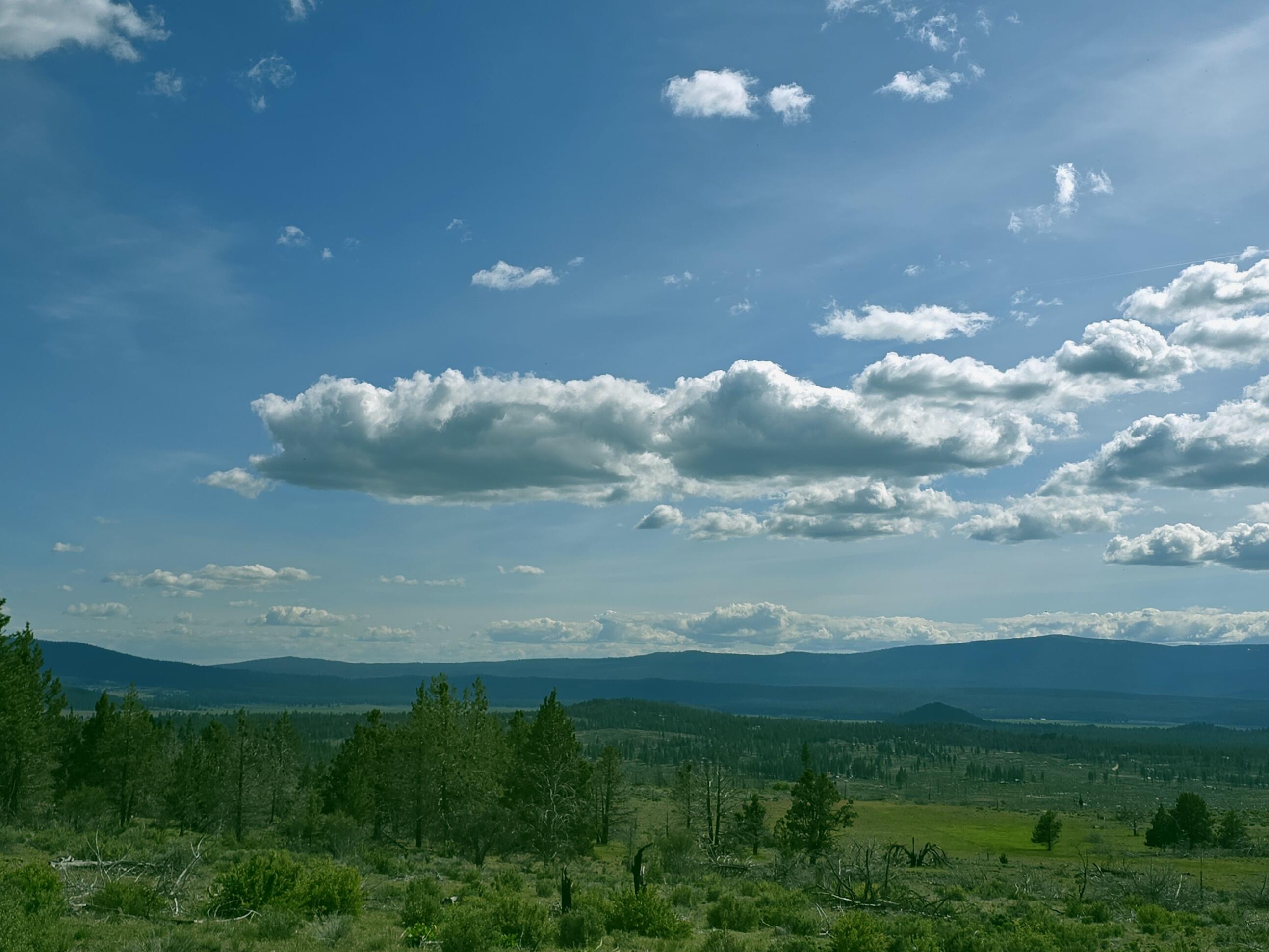 Klamath Forest Estates - Land