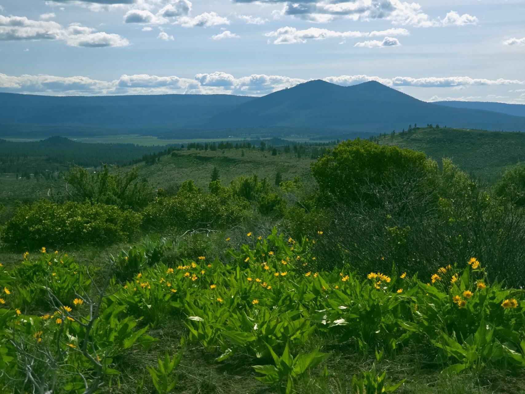Klamath Forest Estates - Land