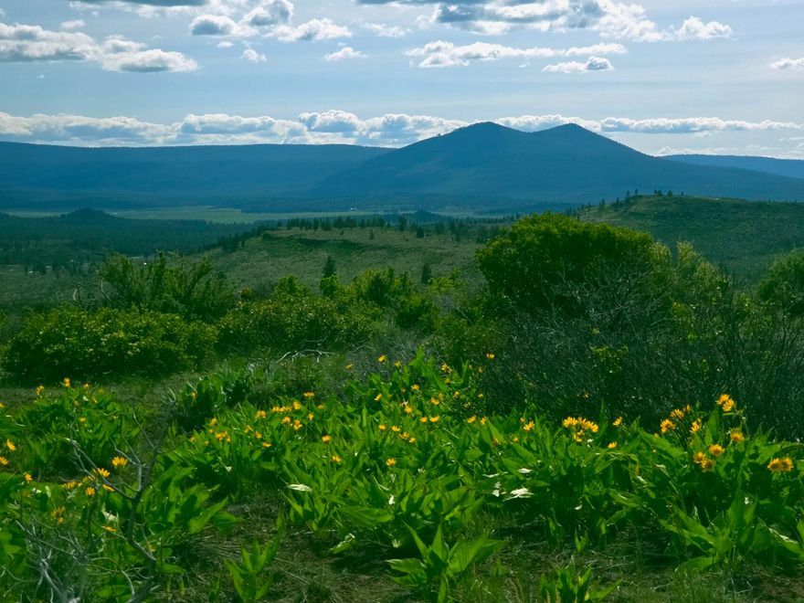 Wonderful opportunity to enjoy nature and outdoor activities! Recreational acreage in the high desert of the Klamath Basin can offer a unique experience with its diverse landscape and myriad recreational activities. 
The region is also known for bird watching, especially during migration seasons. The Klamath Basin National Wildlife Refuge is nearby, making it an excellent spot for observing diverse species.
Seller Financing Available!

GPS 42.54186, -121.47579