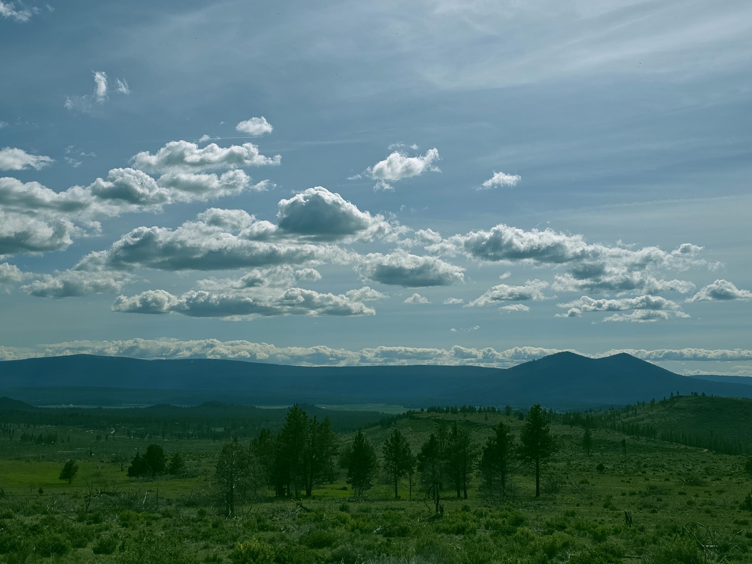Klamath Forest Estates - Land