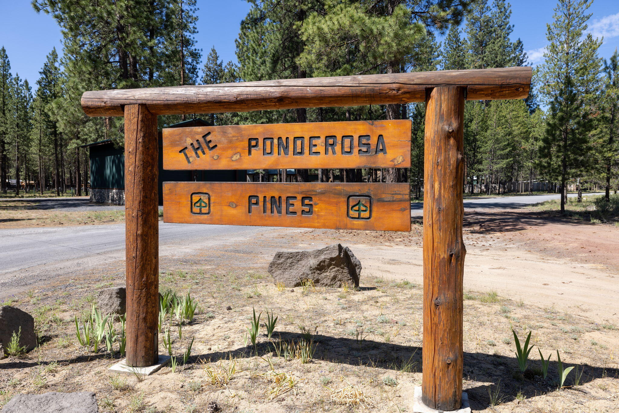 Ponderosa Pines - Residential