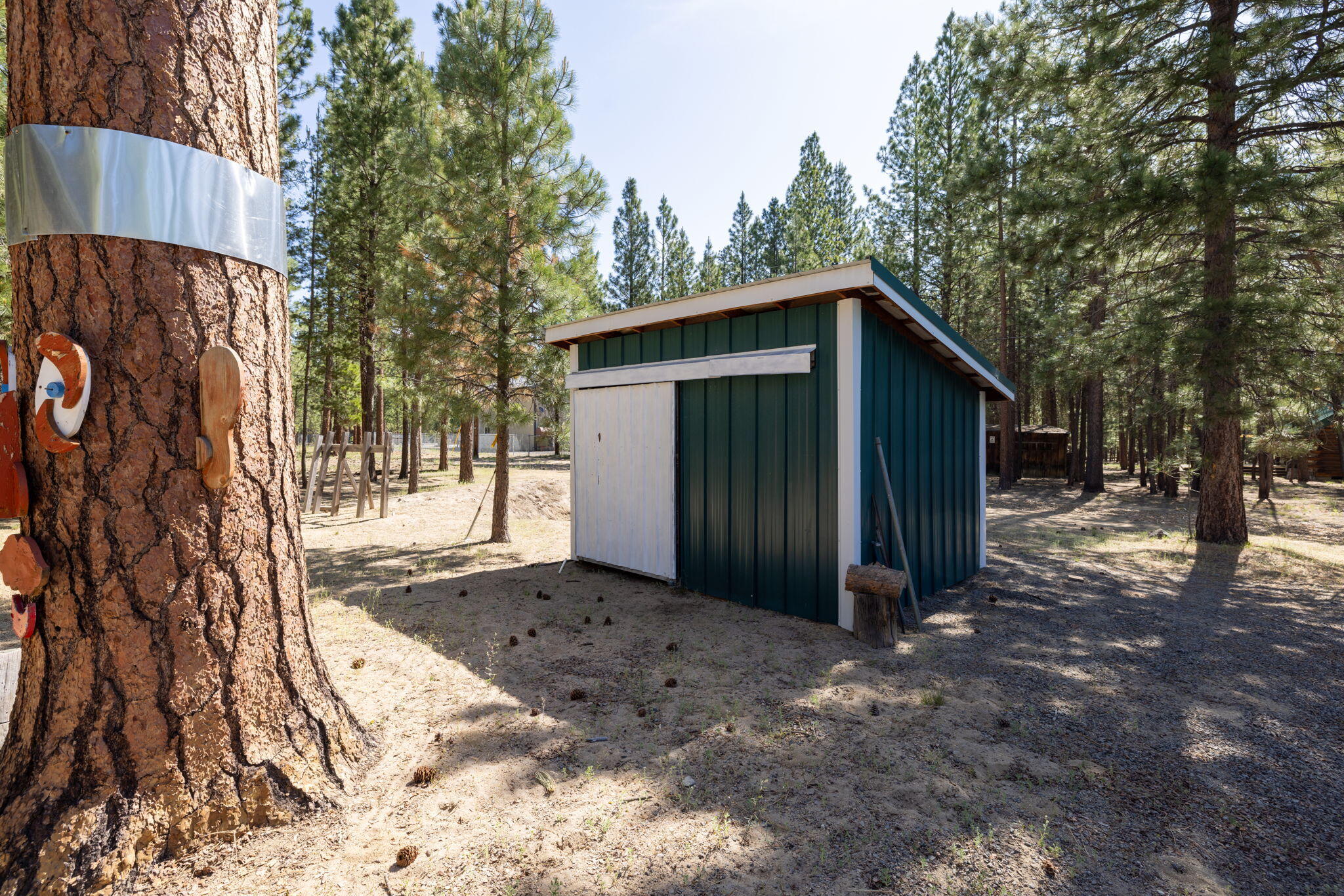 Ponderosa Pines - Residential