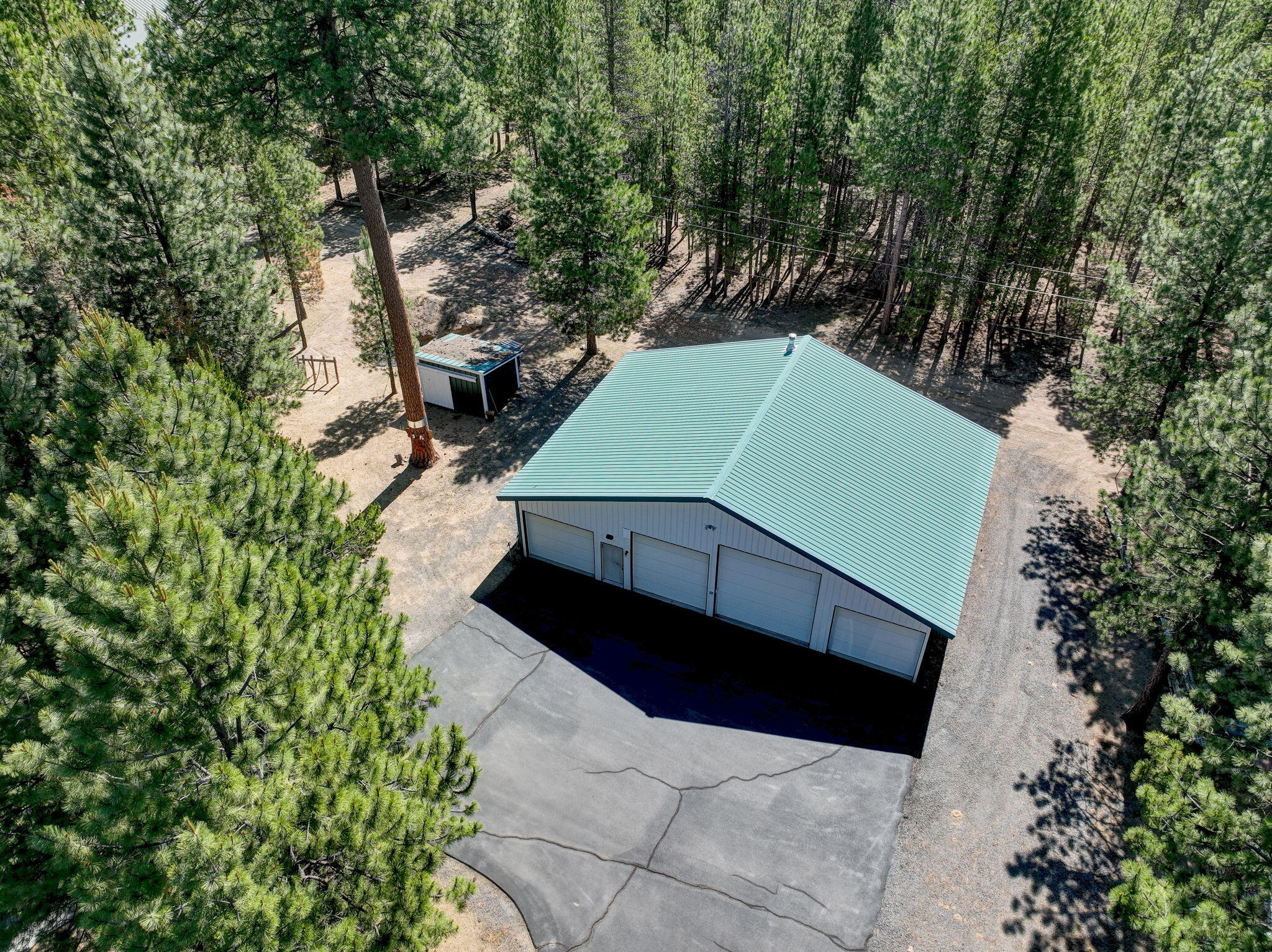 Ponderosa Pines - Residential