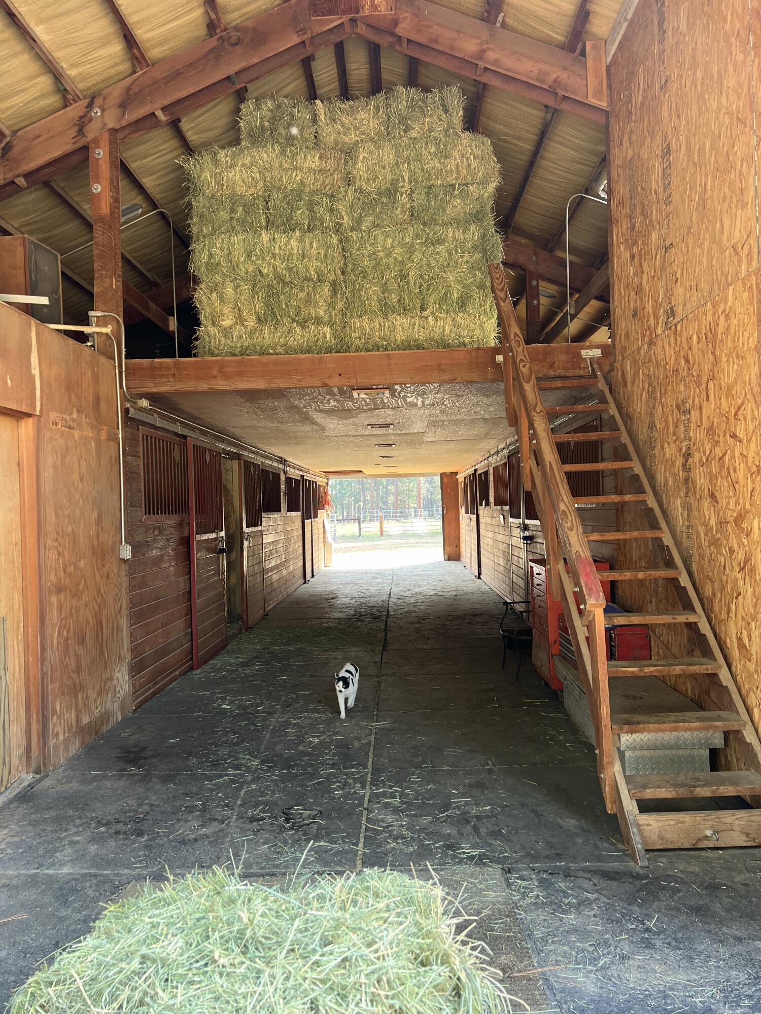 Arena Acres Phase 3 - Residential