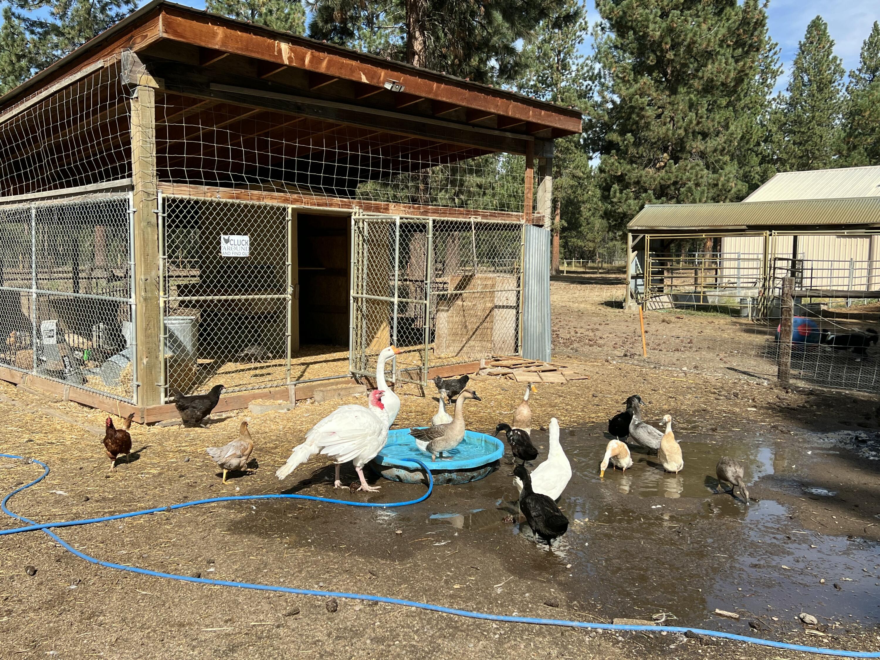 Arena Acres Phase 3 - Residential