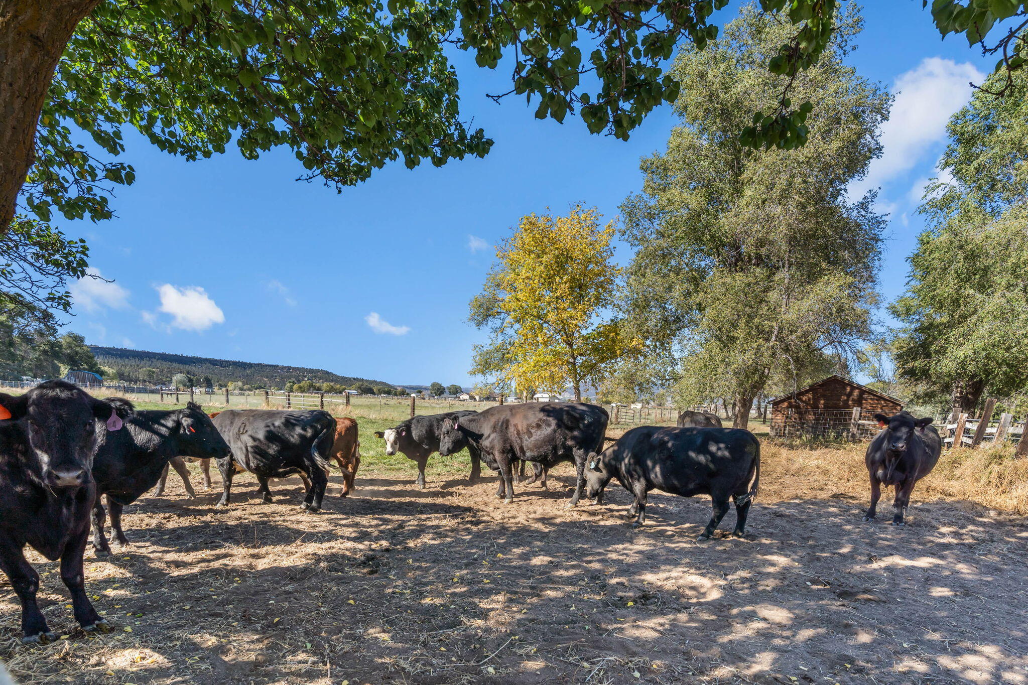 3360 NW Rimrock Acres Loop
