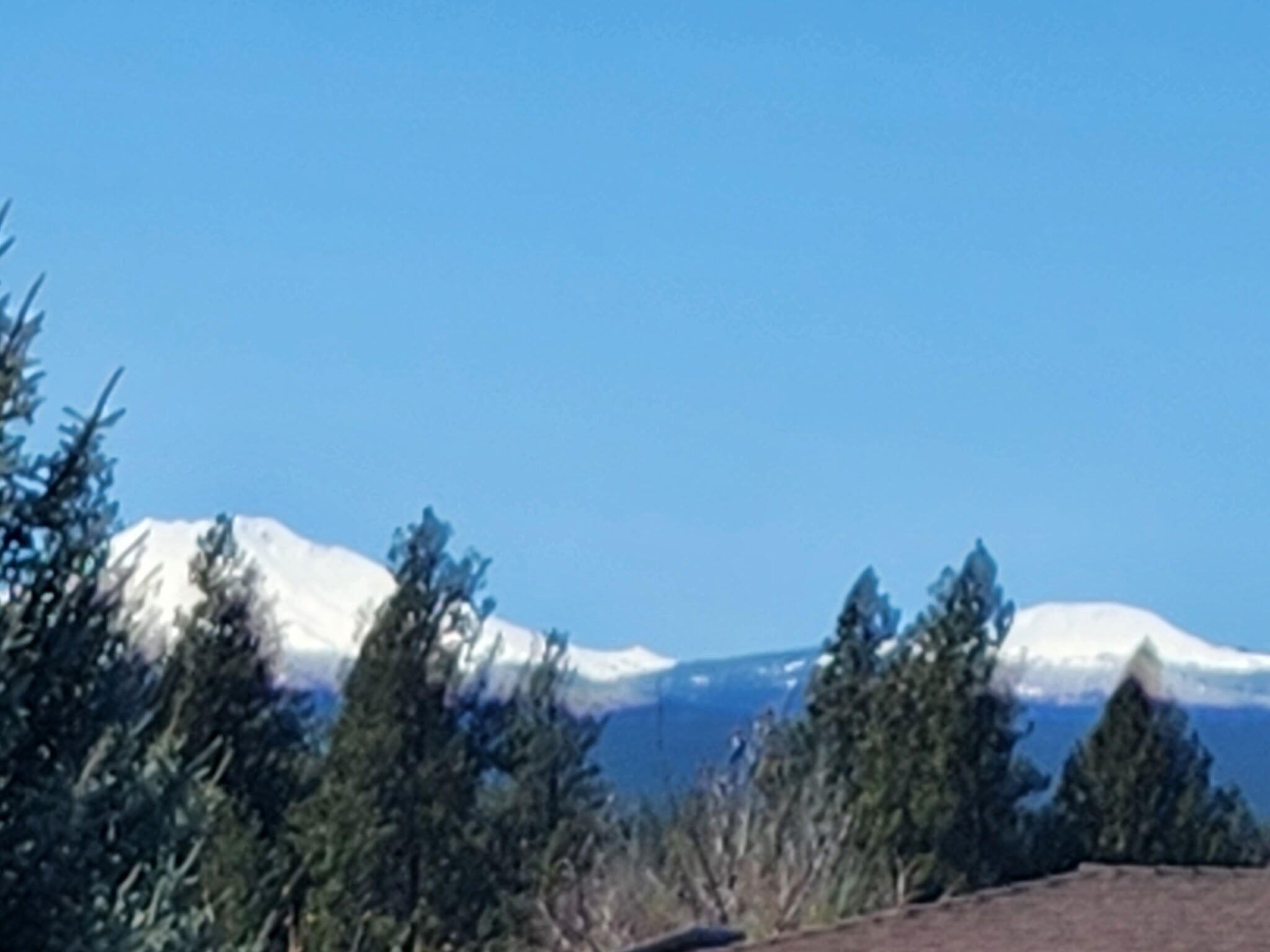 19503 Spencers Crossing Lane