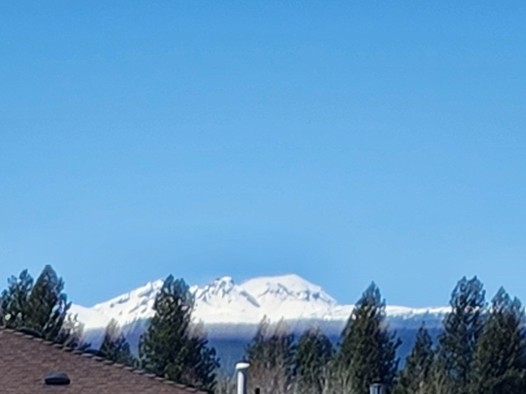 19503 Spencers Crossing Lane