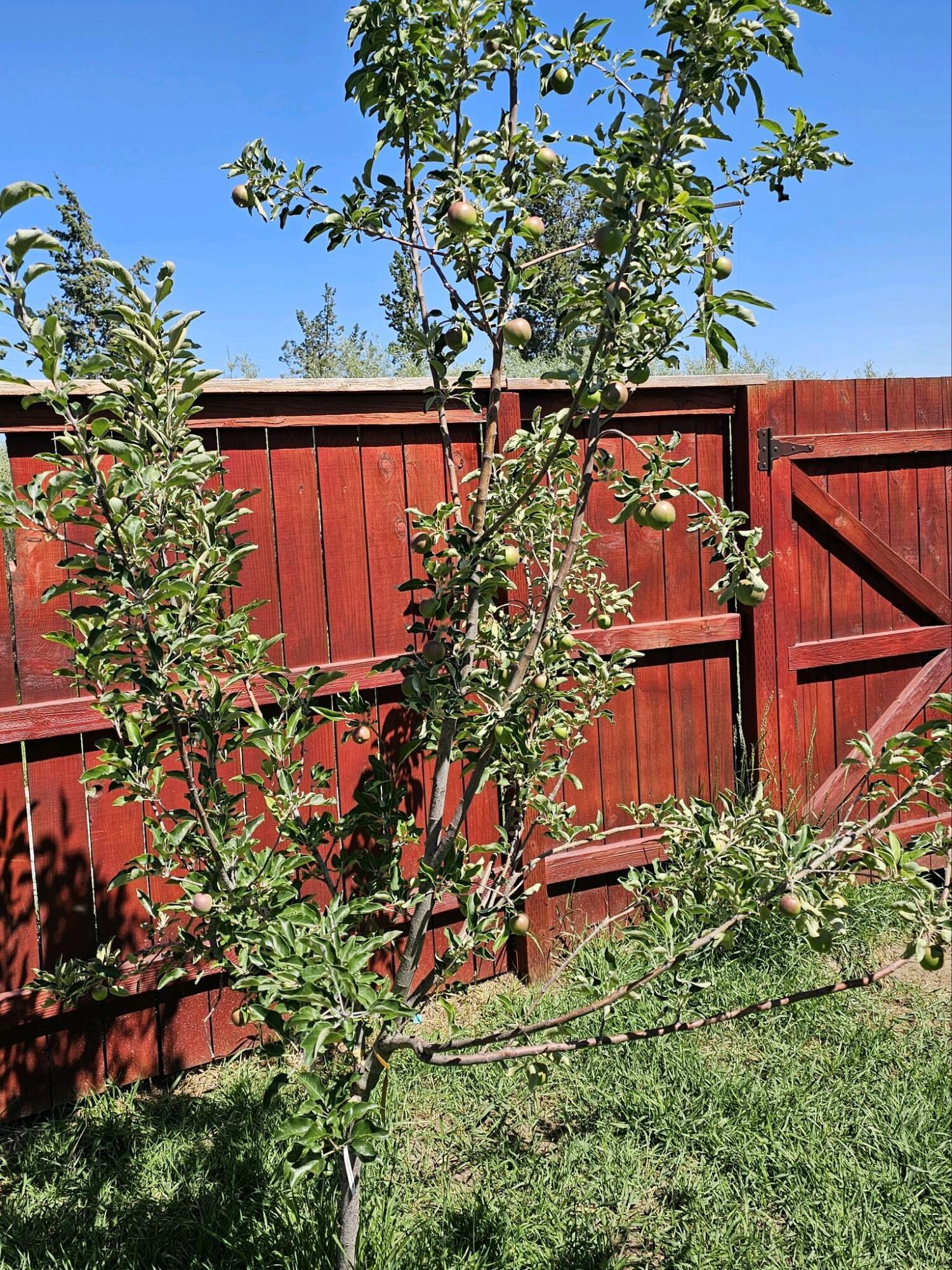Diamond Bar Ranch - Residential