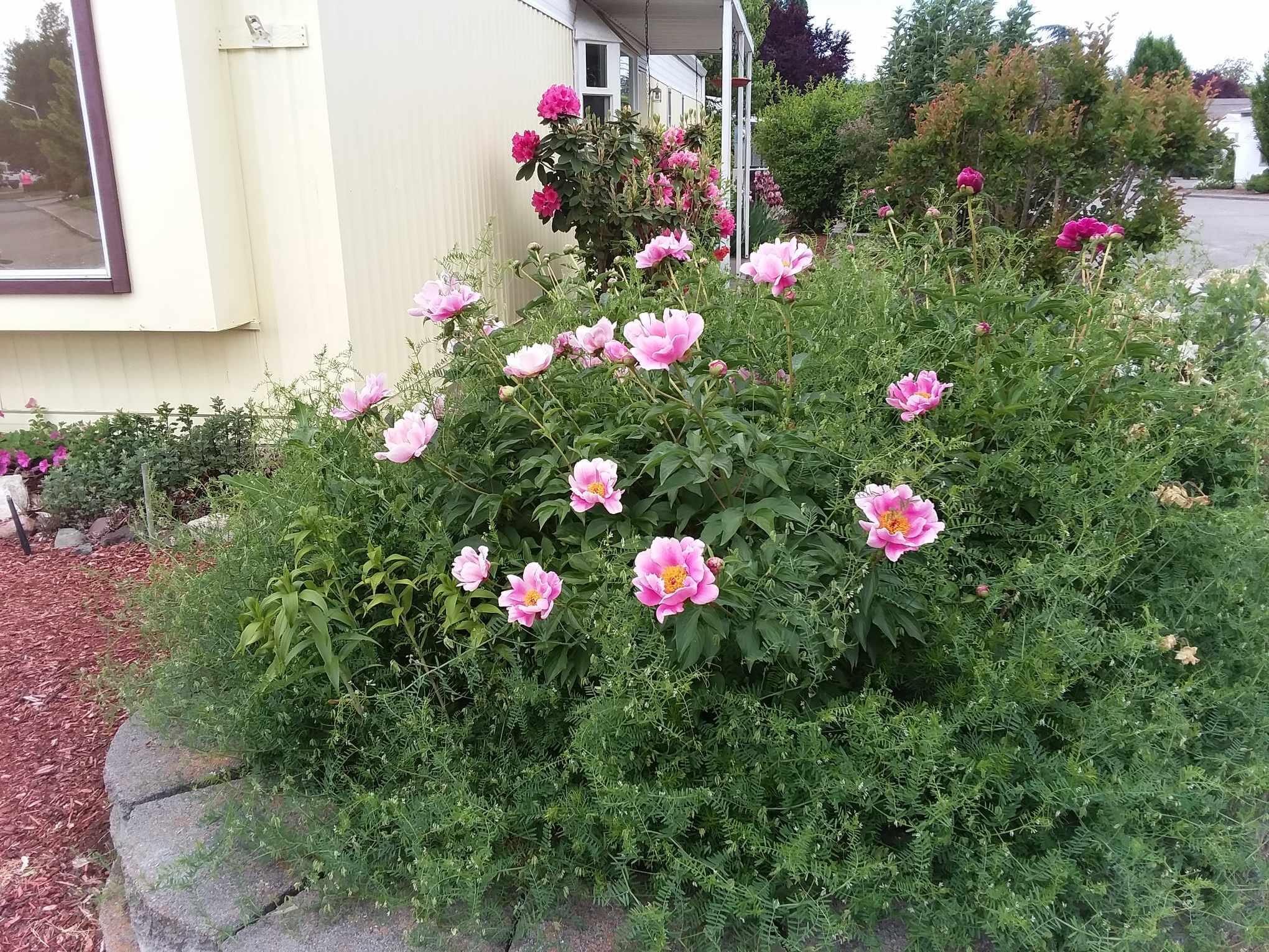 Aspens On The Creek - Residential