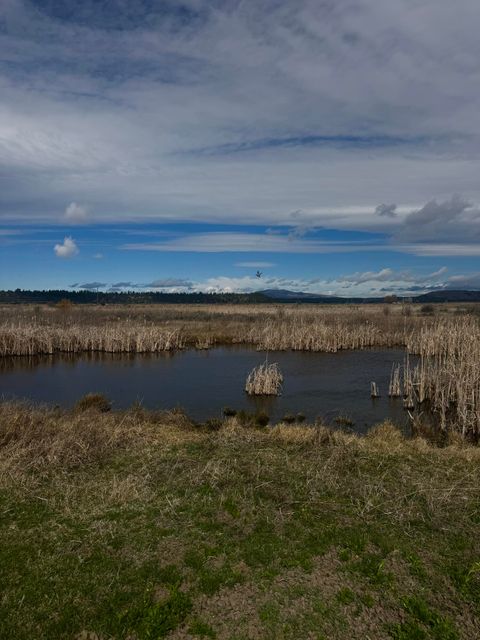 Tiny photo for 27111 Godowa Springs Road, Beatty, OR 97621 (MLS # 220219618)