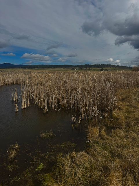 Tiny photo for 27111 Godowa Springs Road, Beatty, OR 97621 (MLS # 220219618)