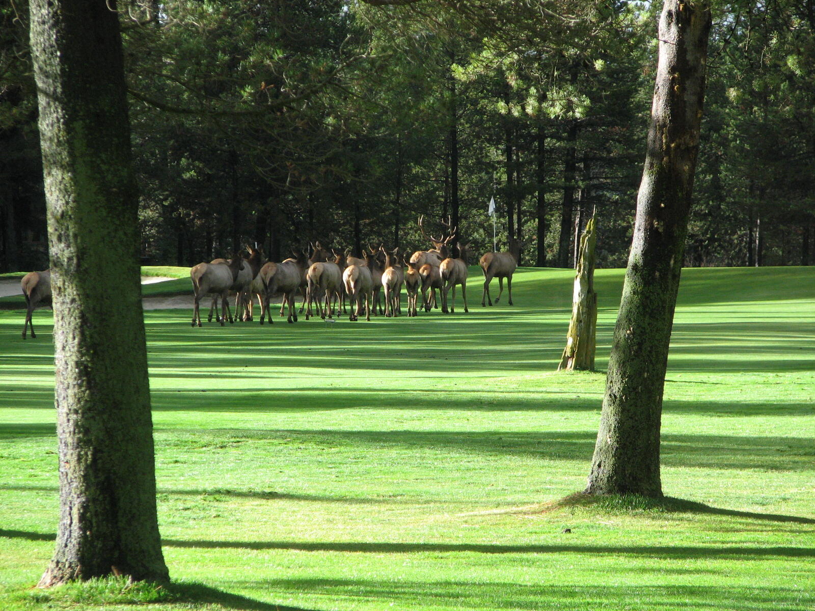 Fairway Crest Village - Residential
