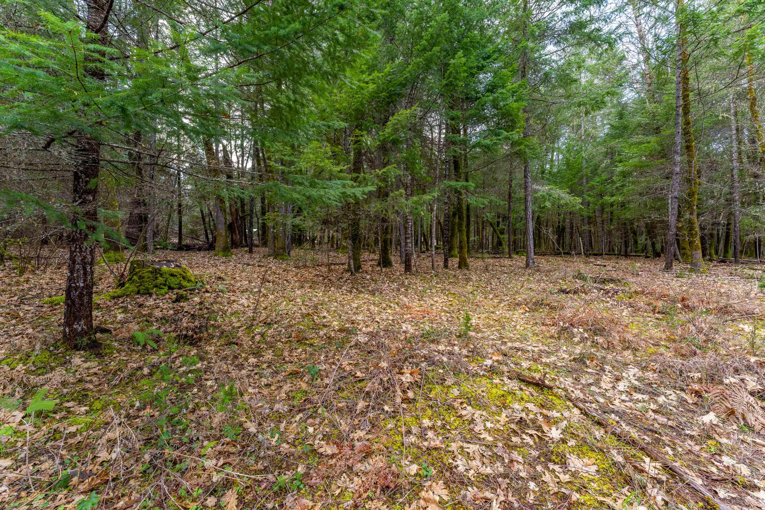 Foster Estates Subdivision - Land