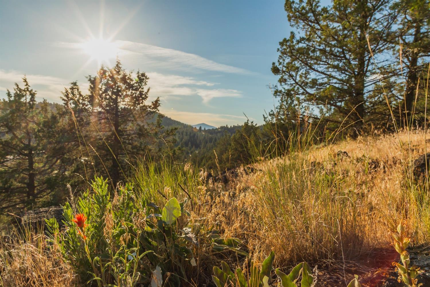 Ridgewater Subdivision -Phase 1 - Land