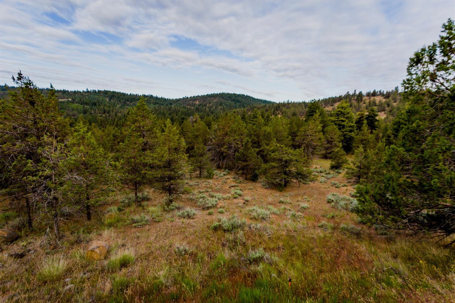 Ridgewater Subdivision -Phase 1 - Land