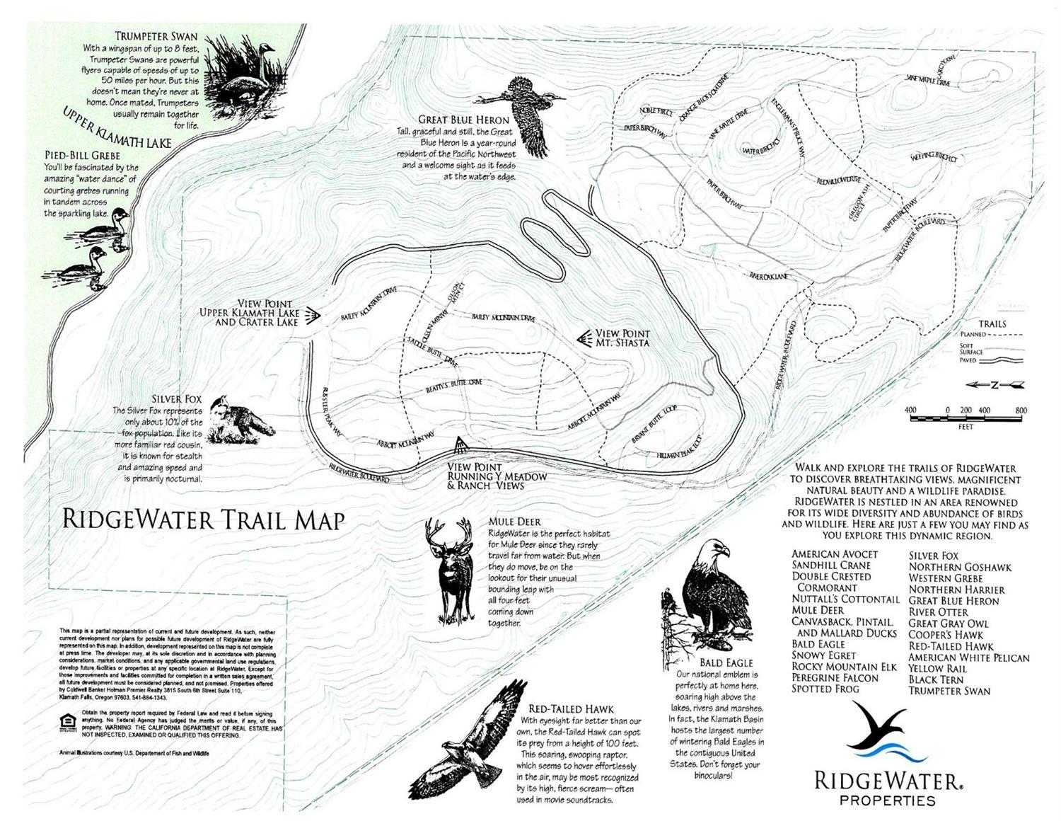 Ridgewater Subdivision -Phase 1 - Land