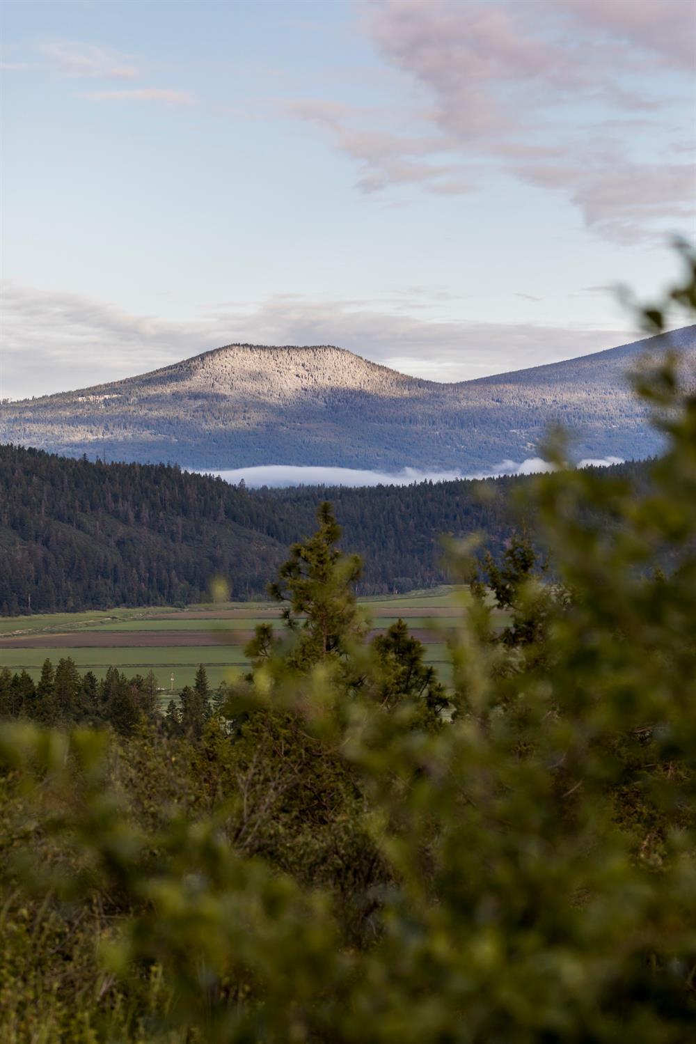 Ridgewater Subdivision -Phase 1 - Land