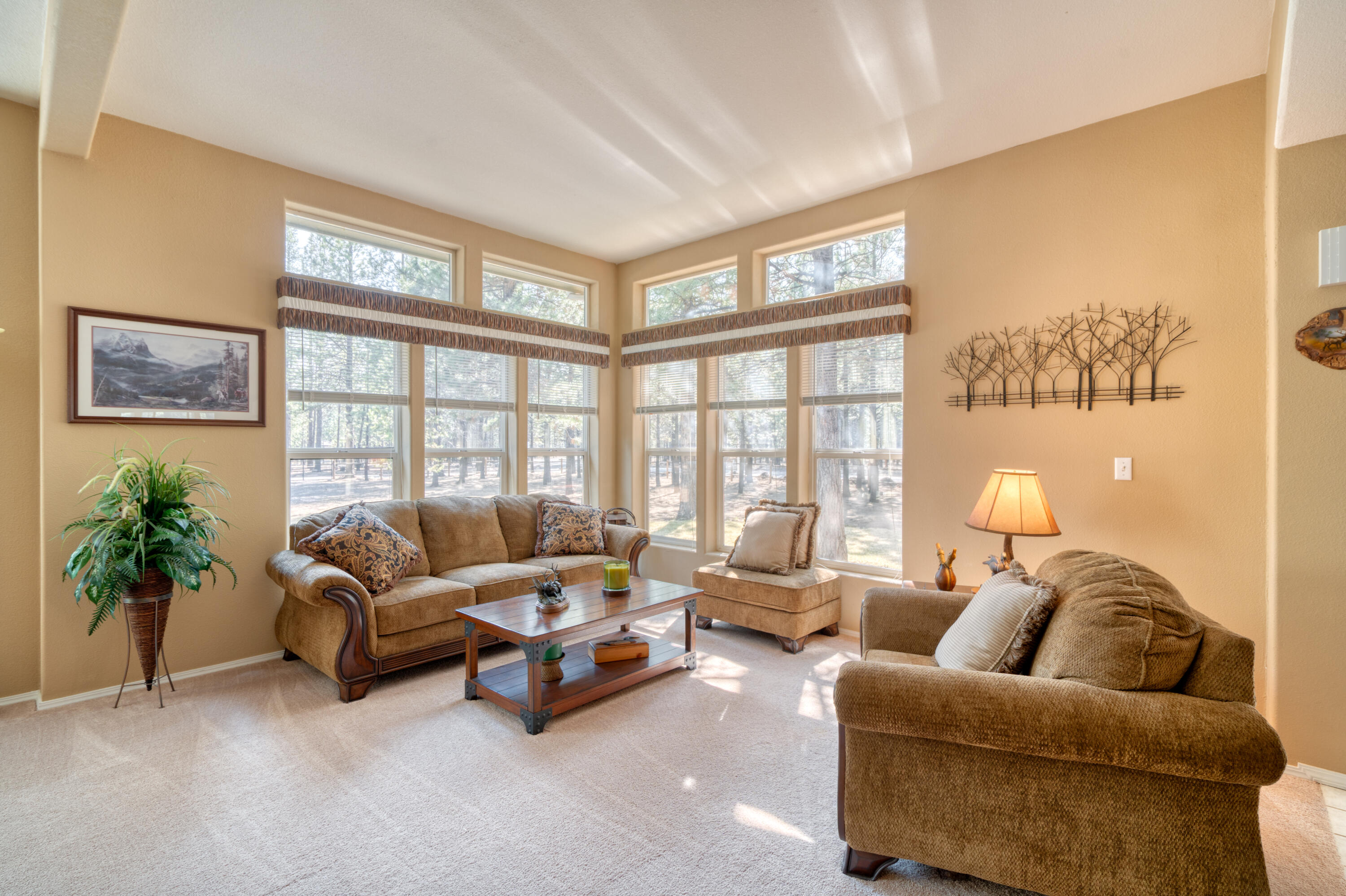 Ponderosa Pines - Residential