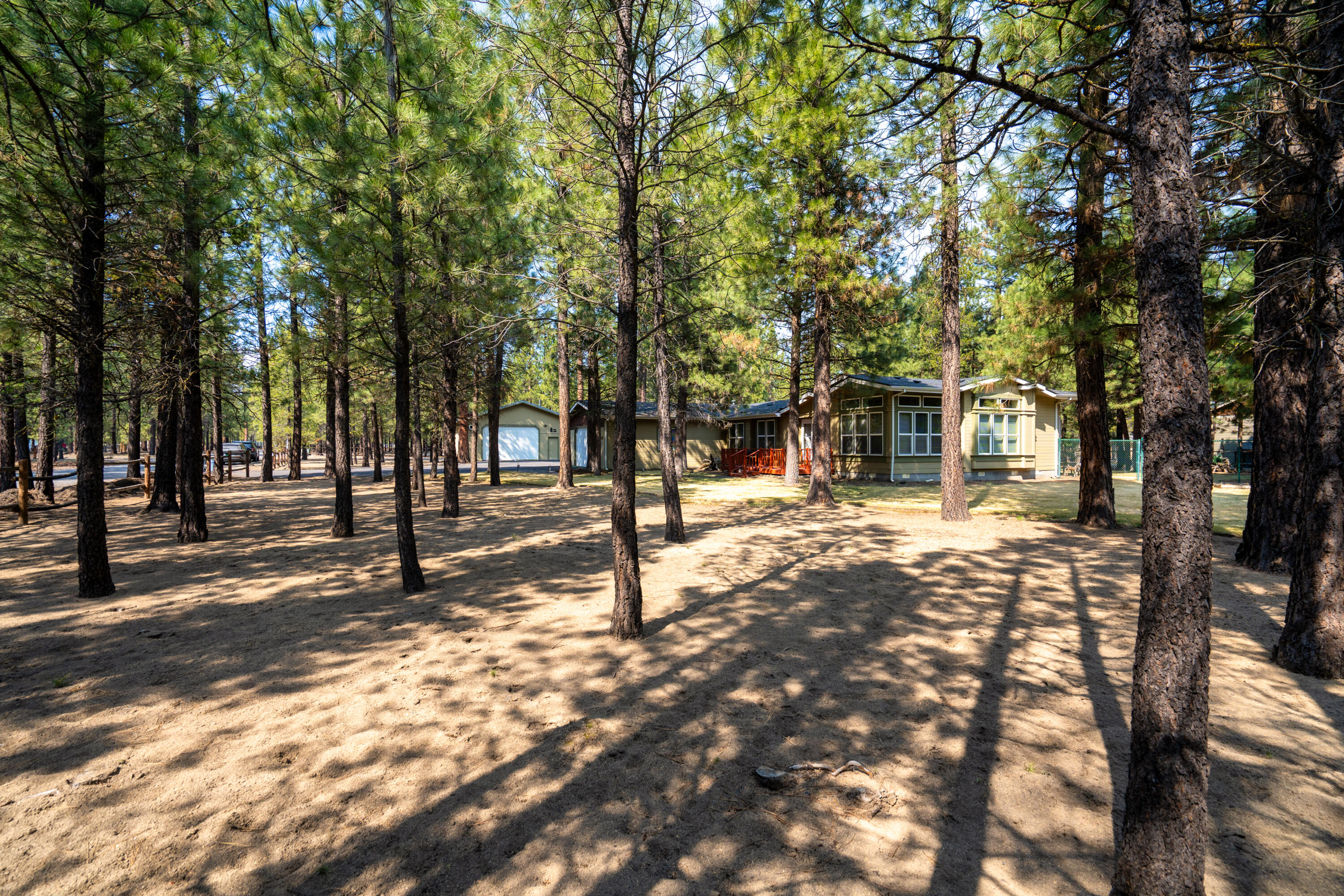 Ponderosa Pines - Residential