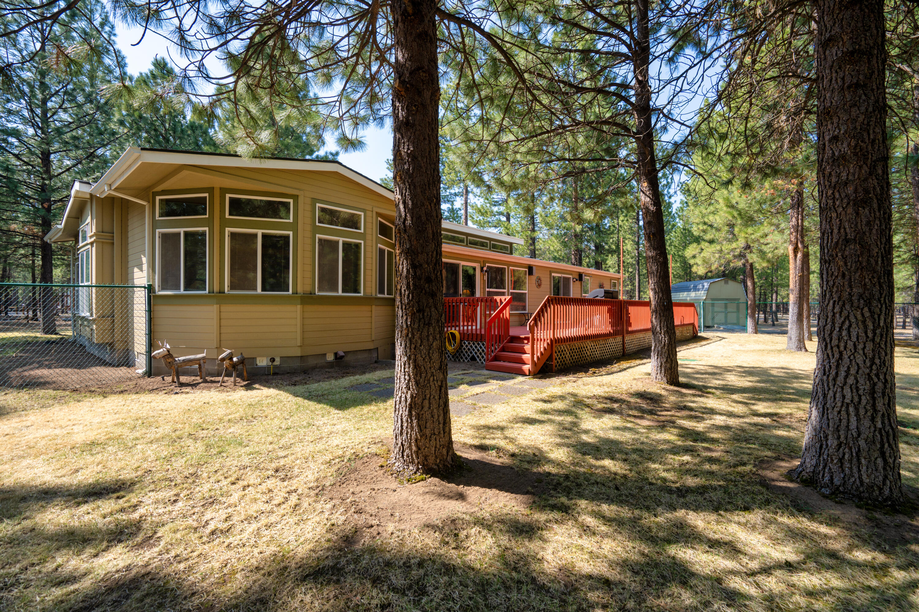 Ponderosa Pines - Residential