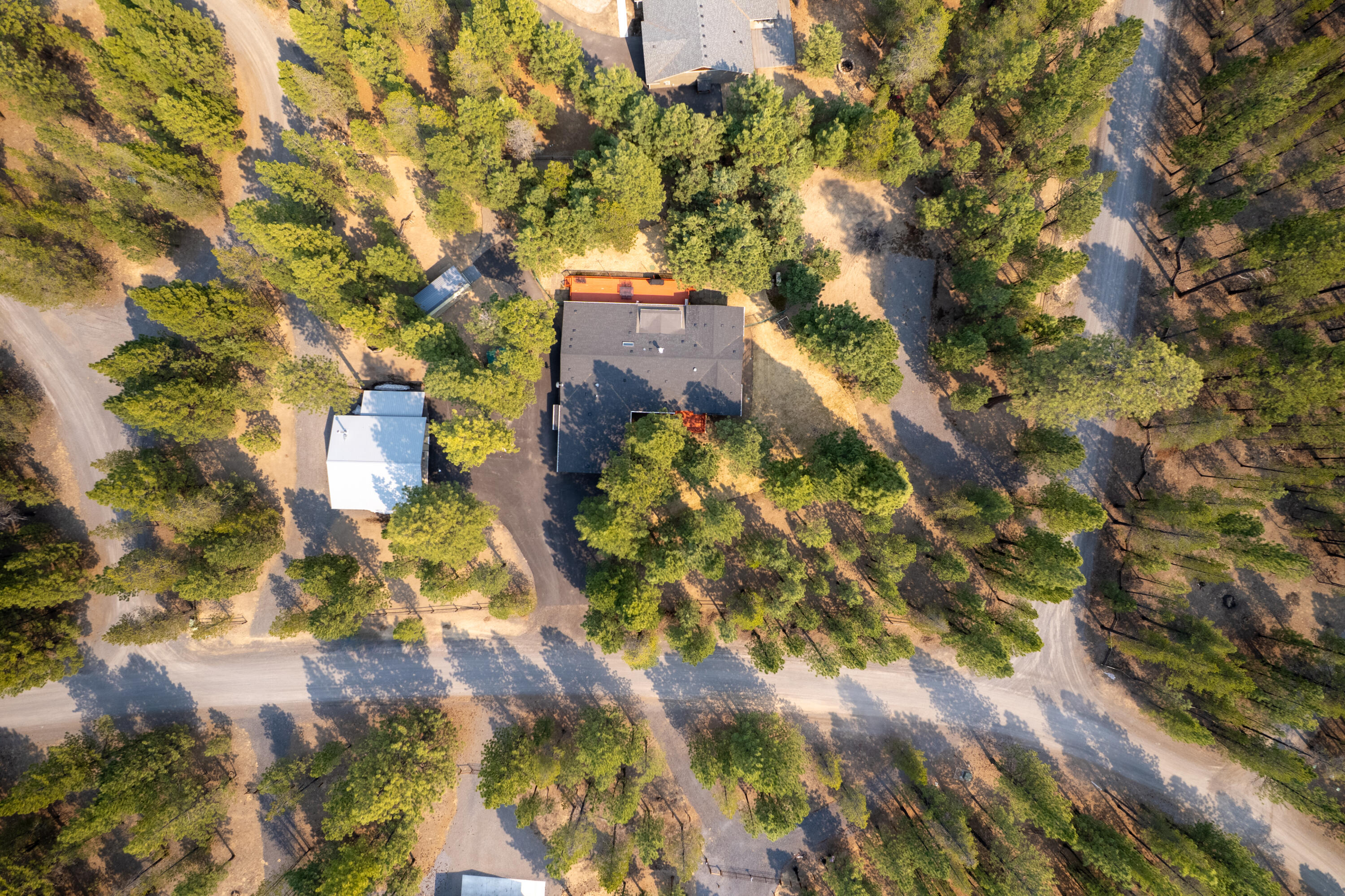 Ponderosa Pines - Residential