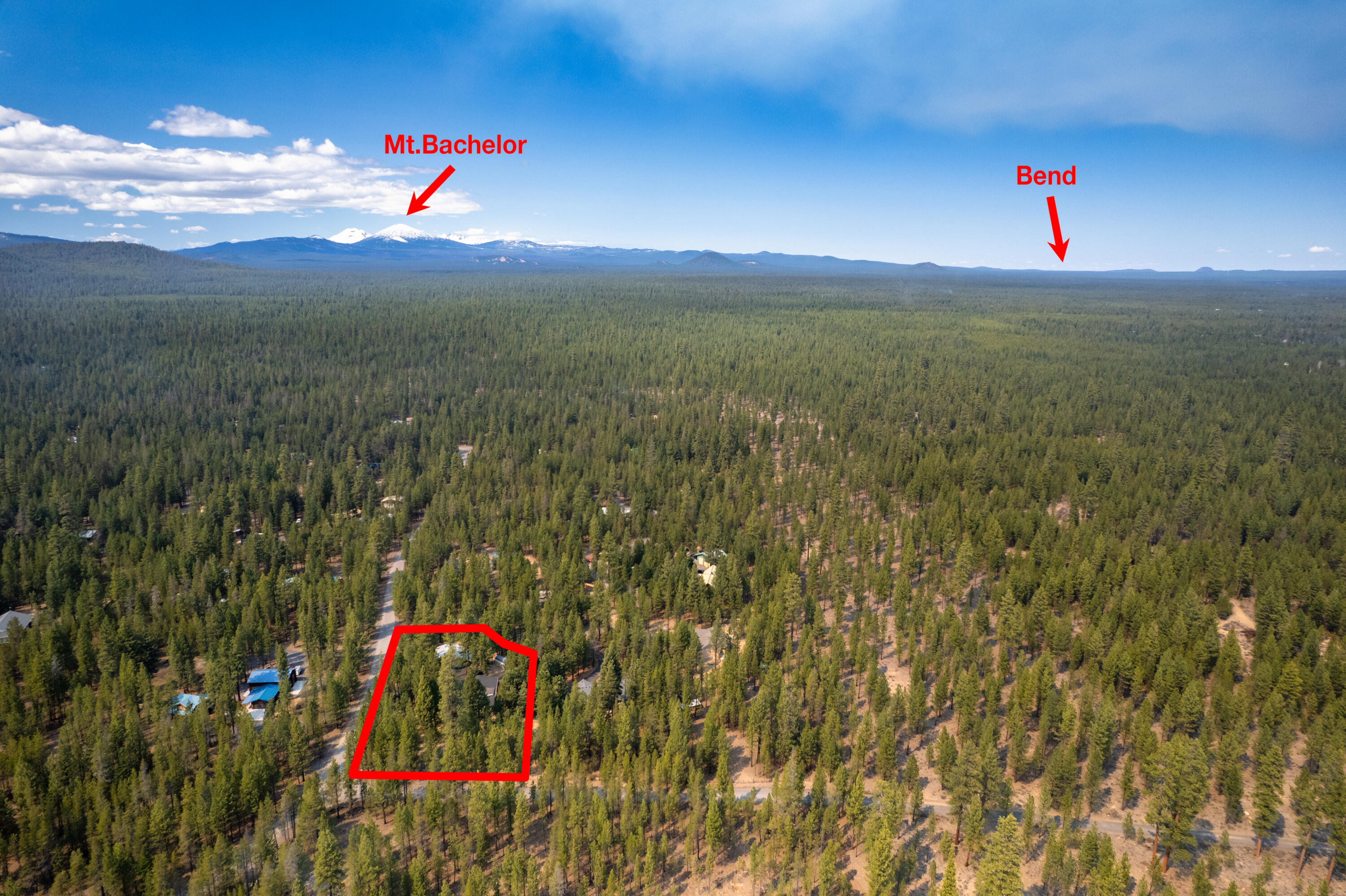 Ponderosa Pines - Residential