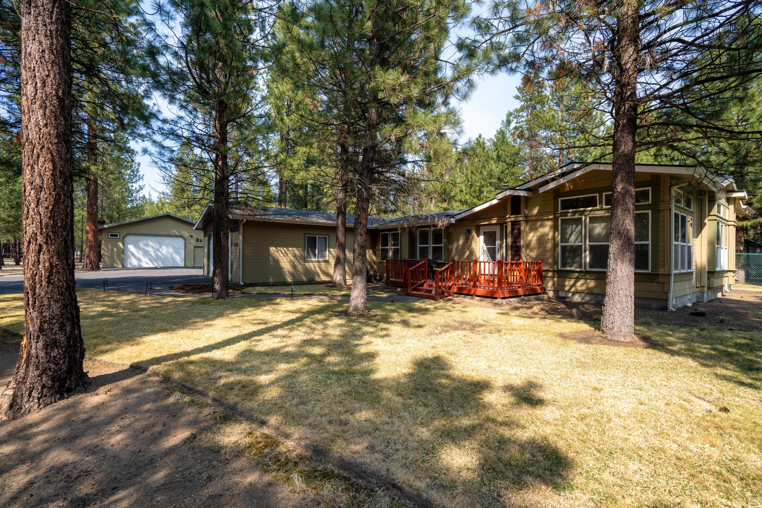 Ponderosa Pines - Residential