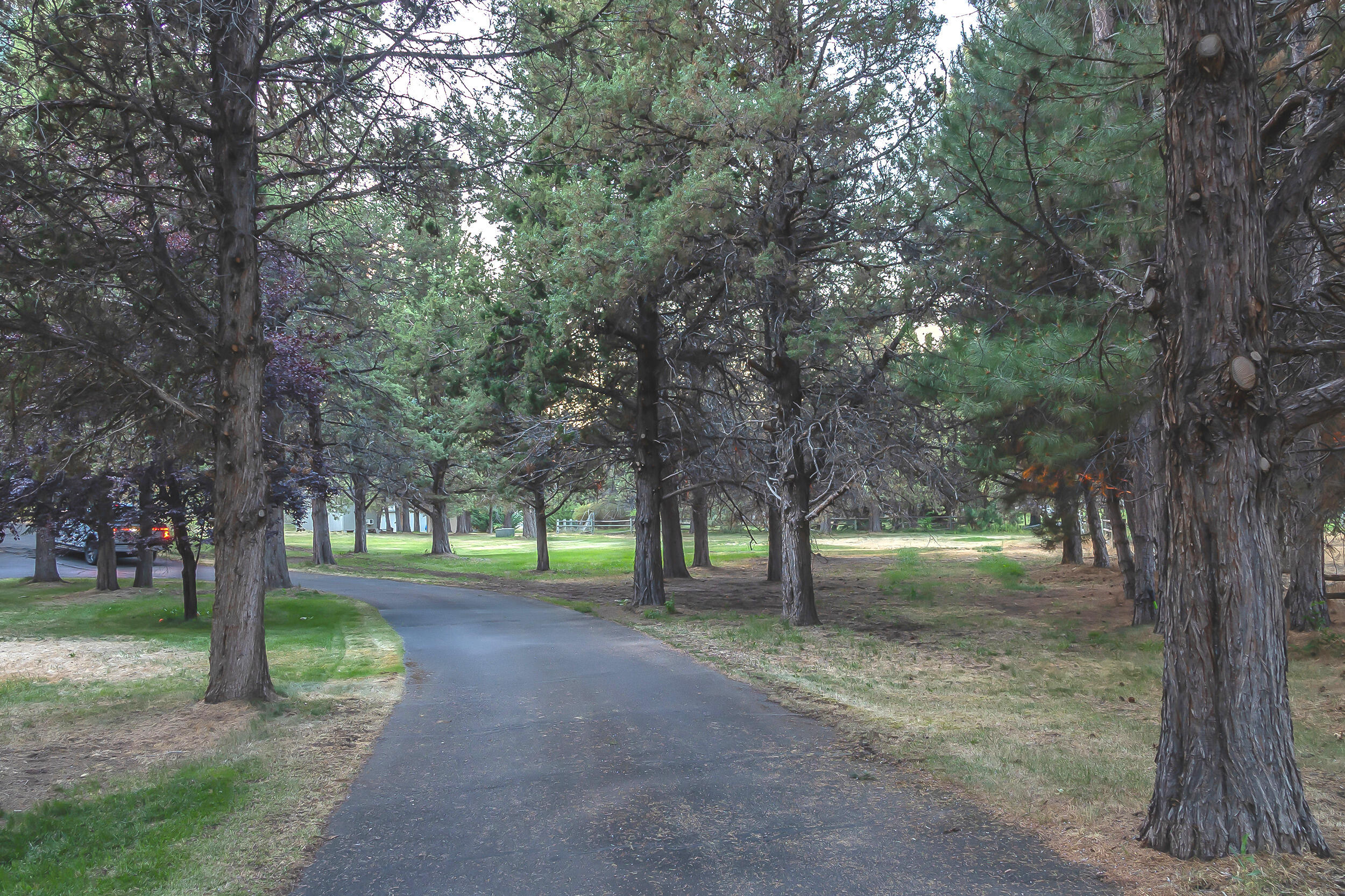 Quail Ridge - Residential