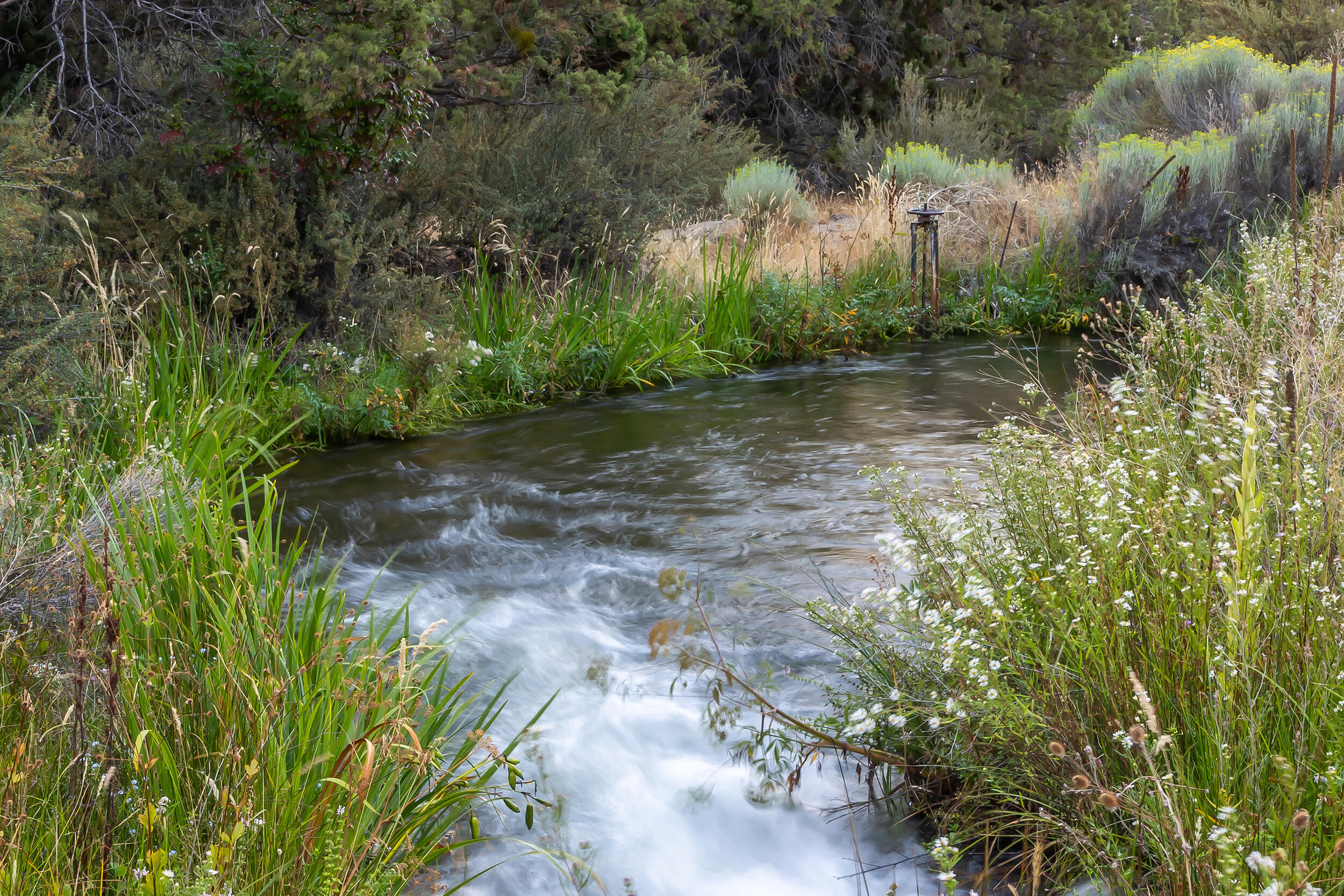 Quail Ridge - Residential