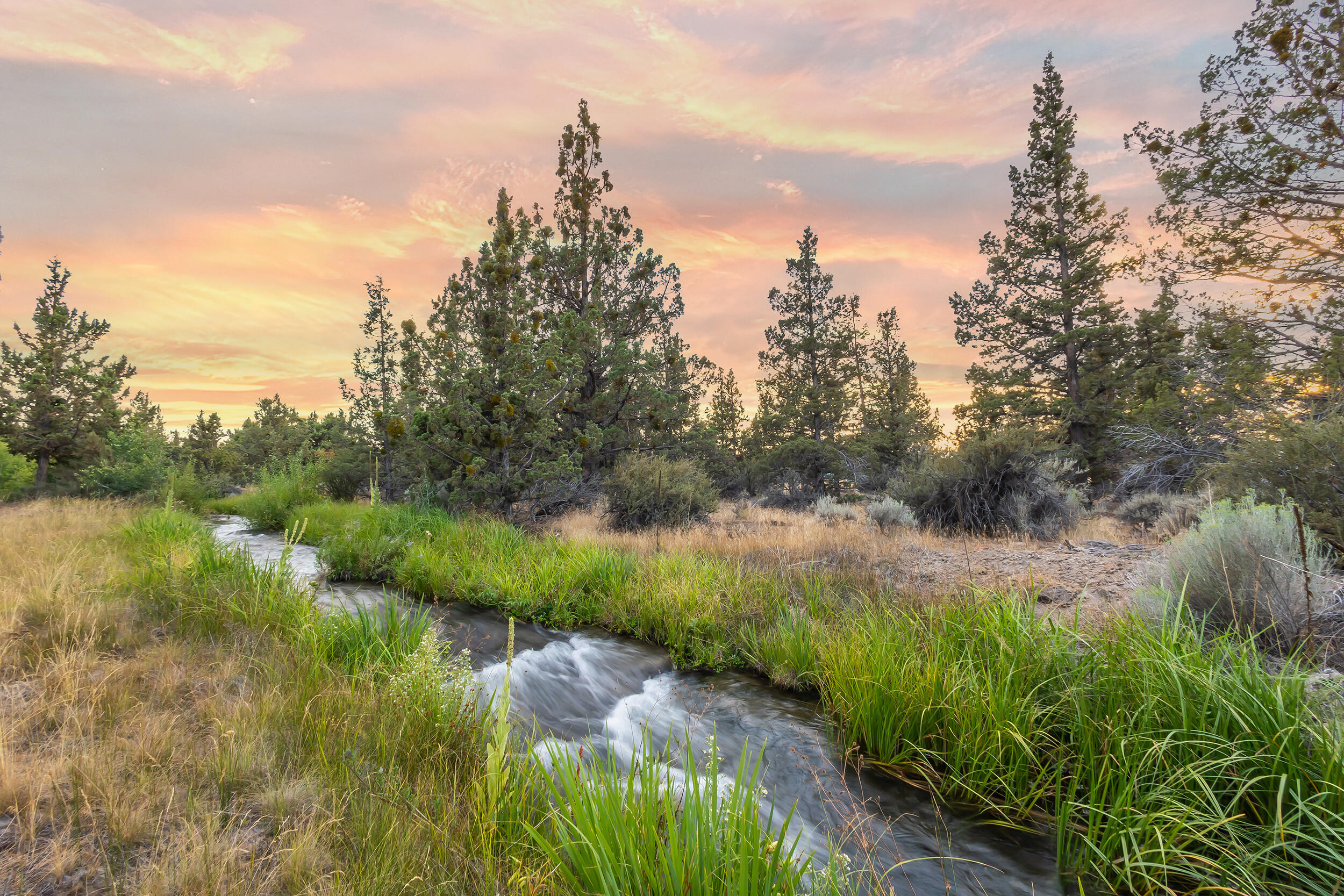 Quail Ridge - Residential