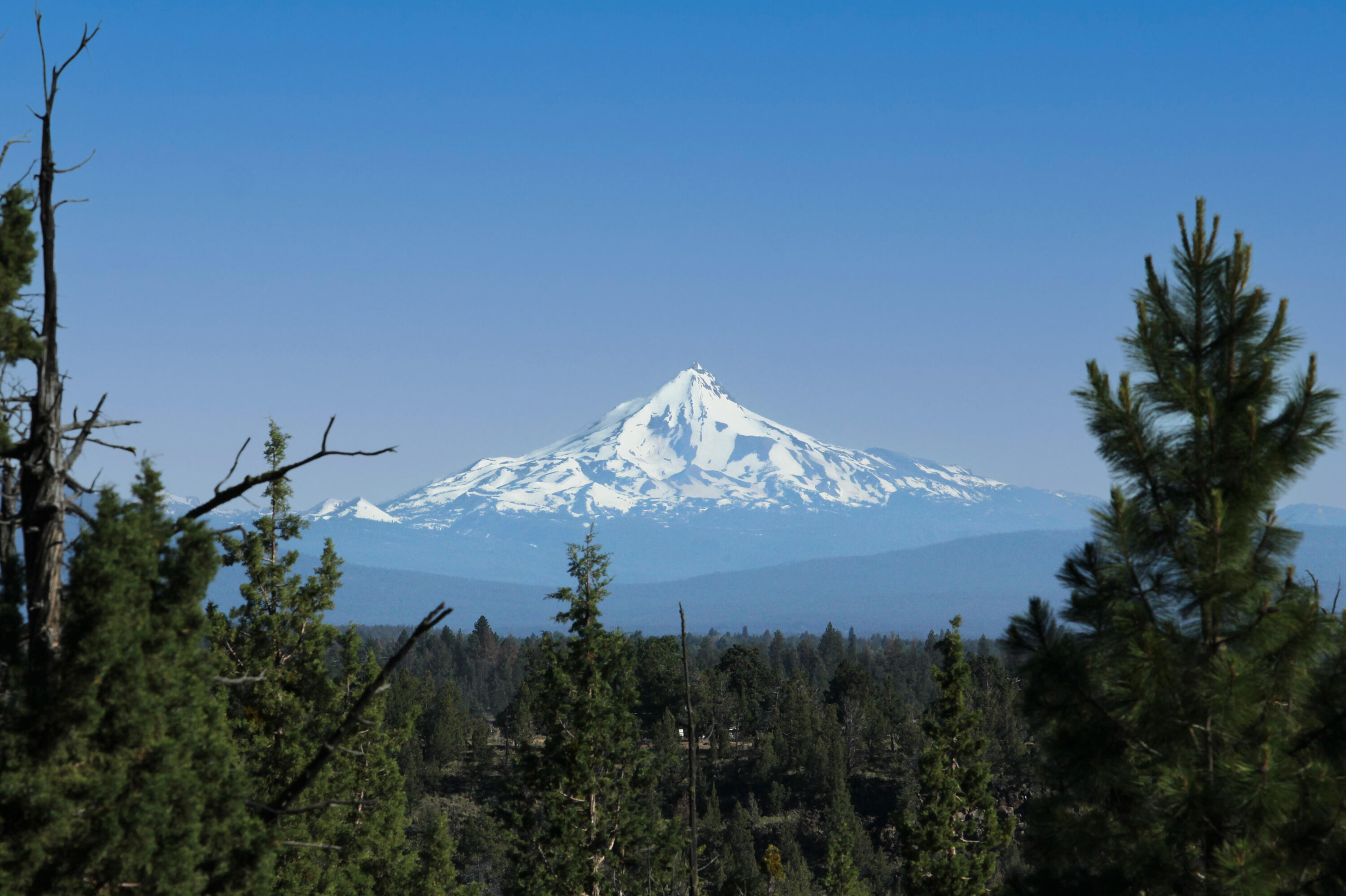 3399 NW Greenleaf Way