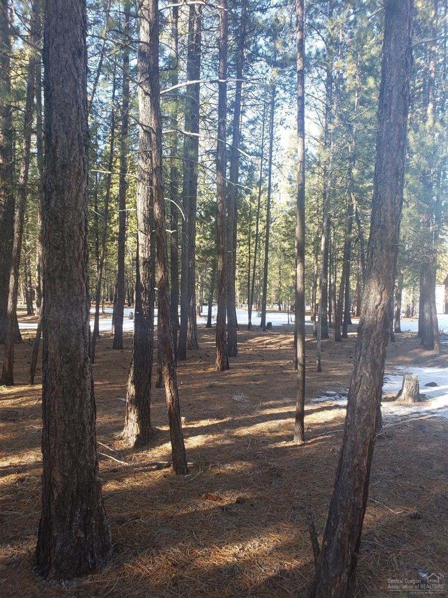 Nicely treed 1.33 acre lot in beautiful Ponderosa Pines! Just minutes to town and close to the lakes, rivers, and everything great about Central Oregon! Come see today!&nbsp;