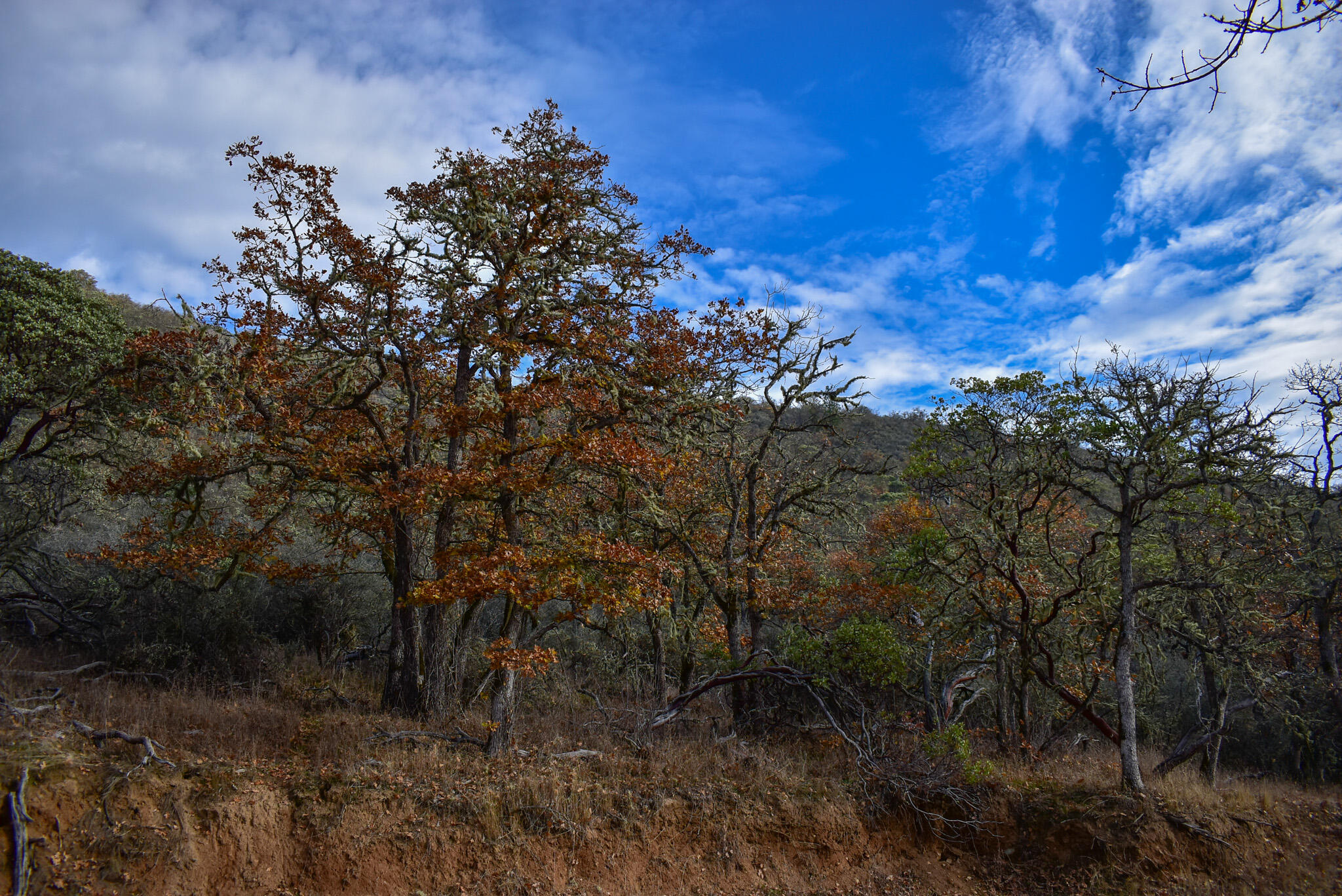 Applegate Park Subdivision - Commercial Sale