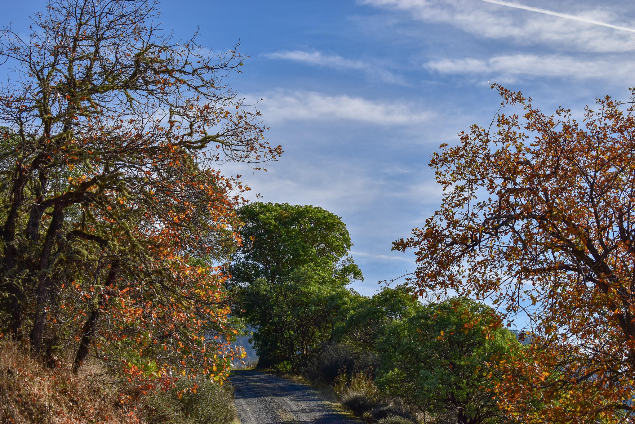 Applegate Park Subdivision - Commercial Sale