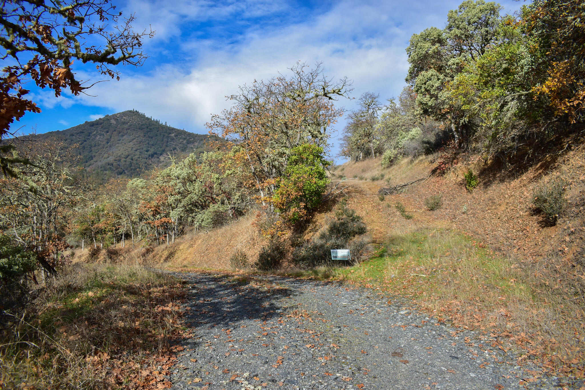 Applegate Park Subdivision - Commercial Sale