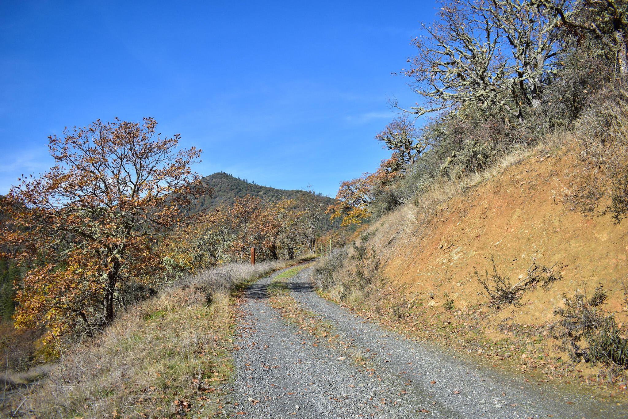 Applegate Park Subdivision - Commercial Sale