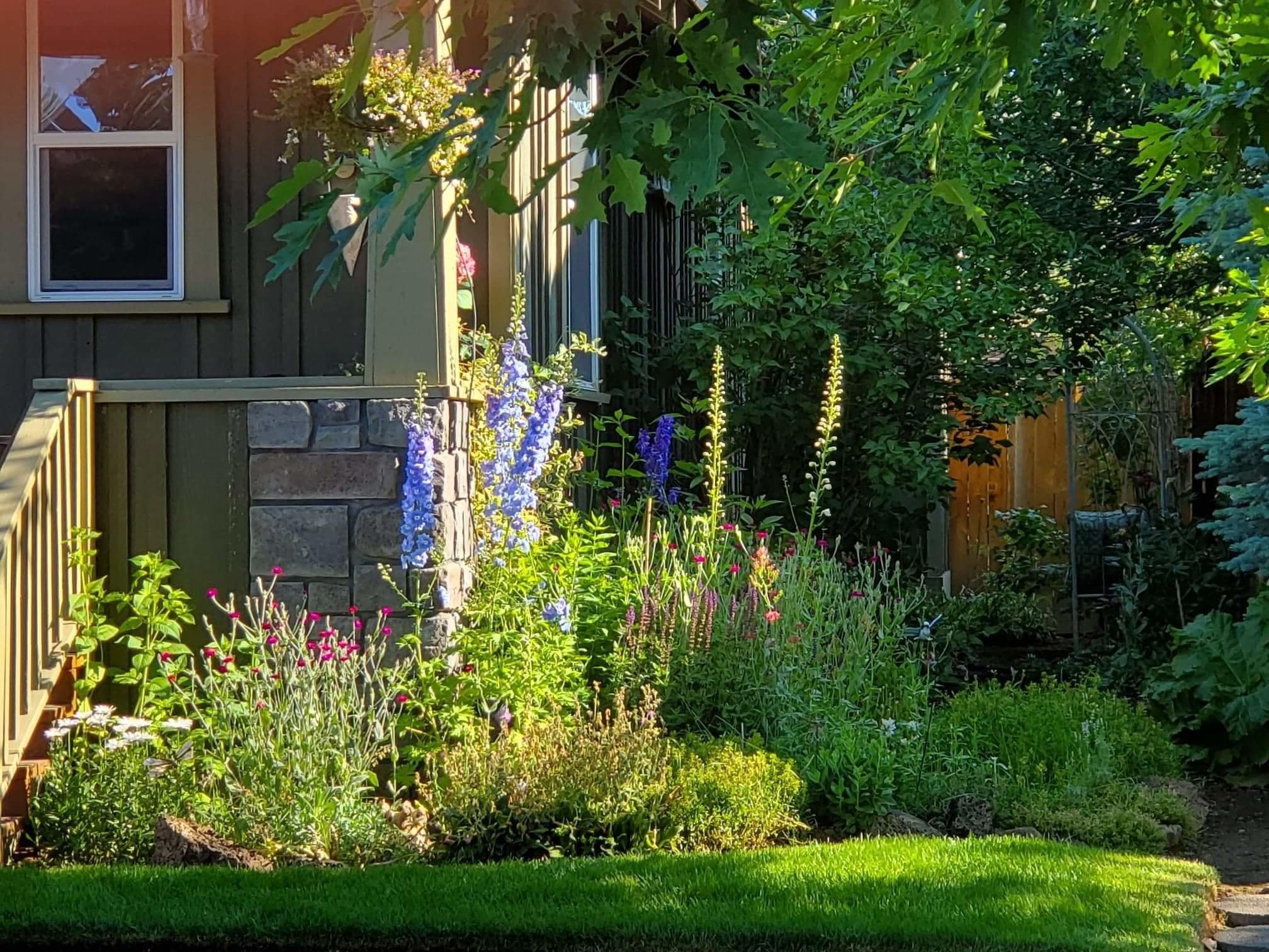 Summer Meadows - Residential