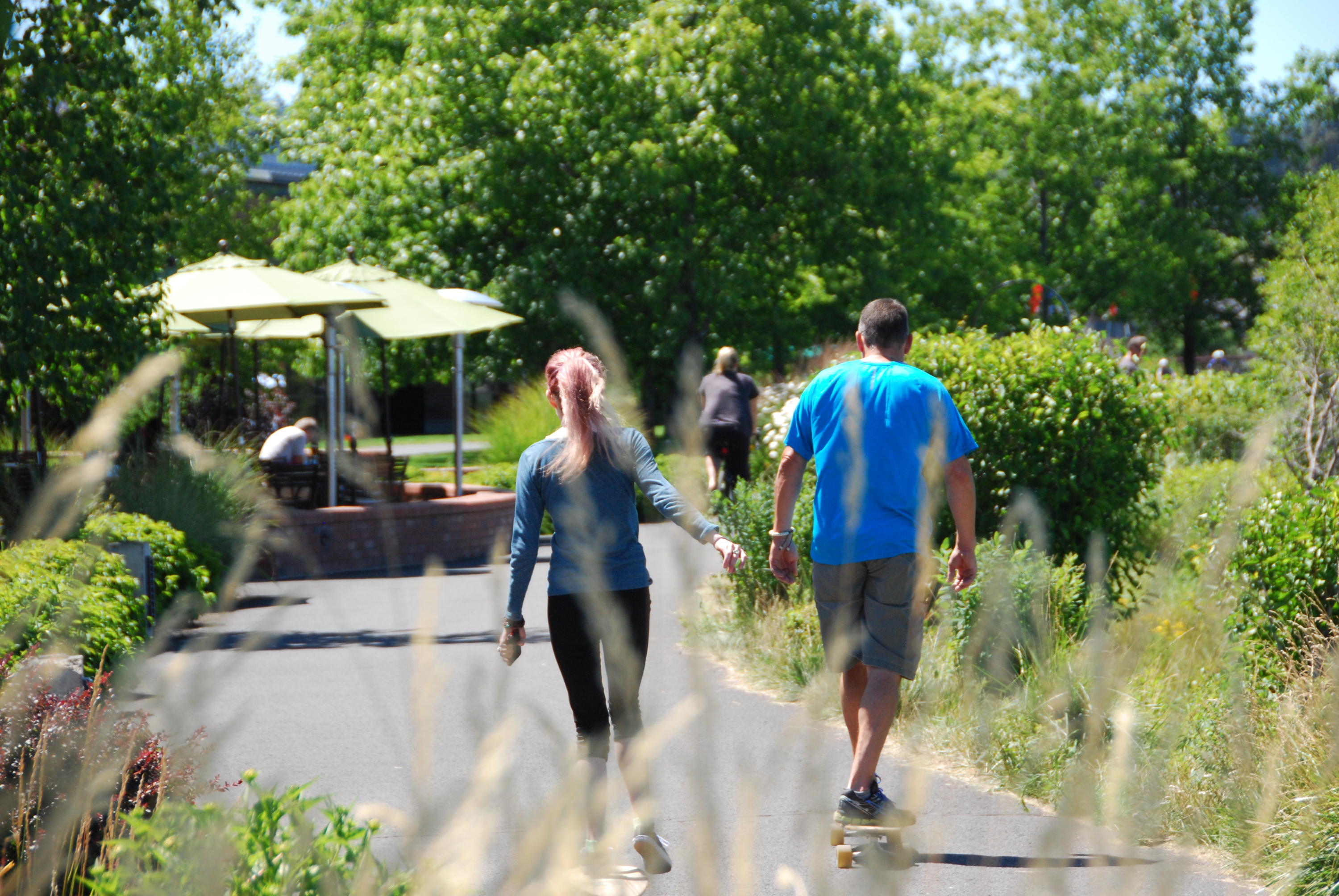 Summer Meadows - Residential