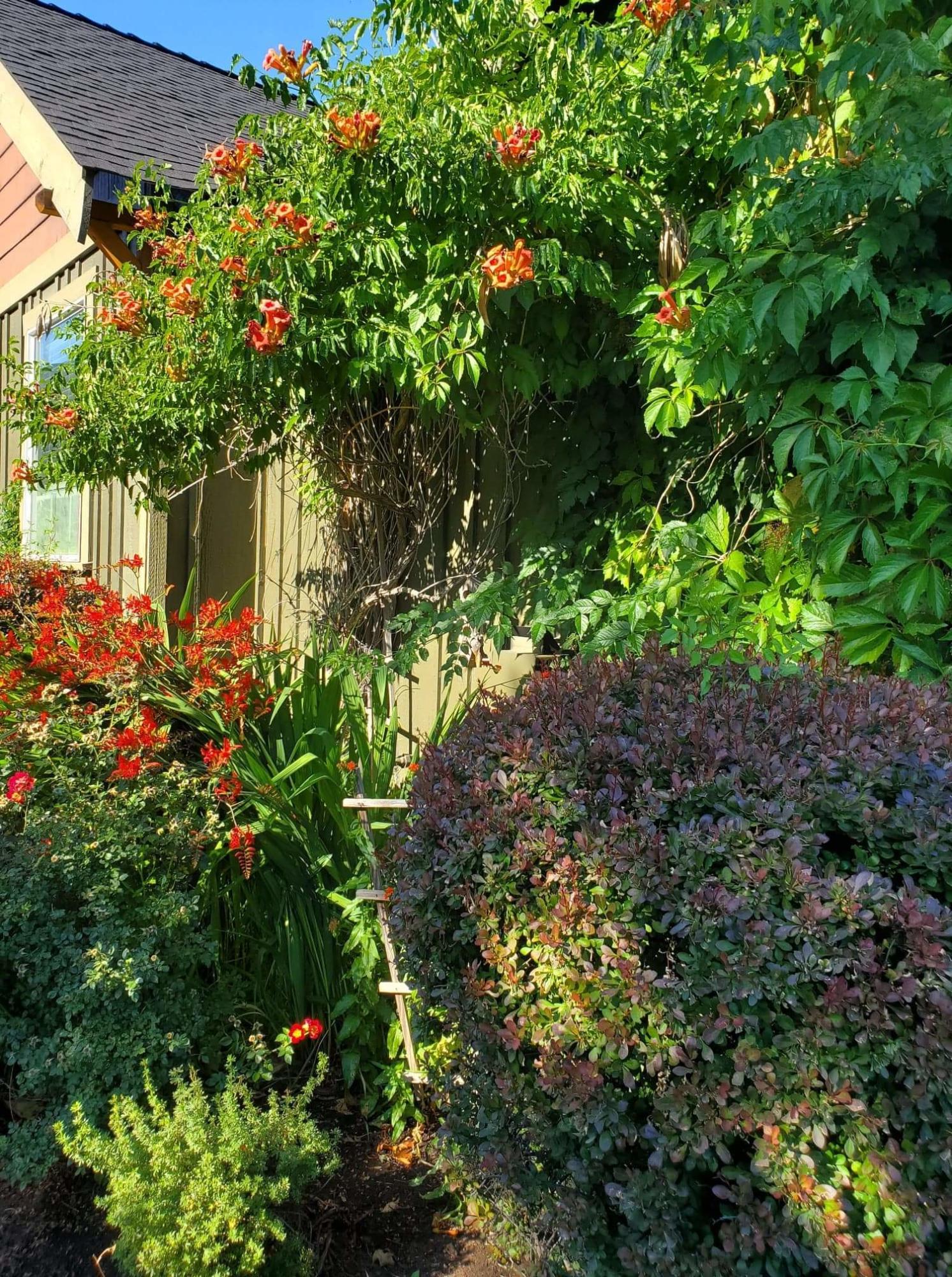 Summer Meadows - Residential