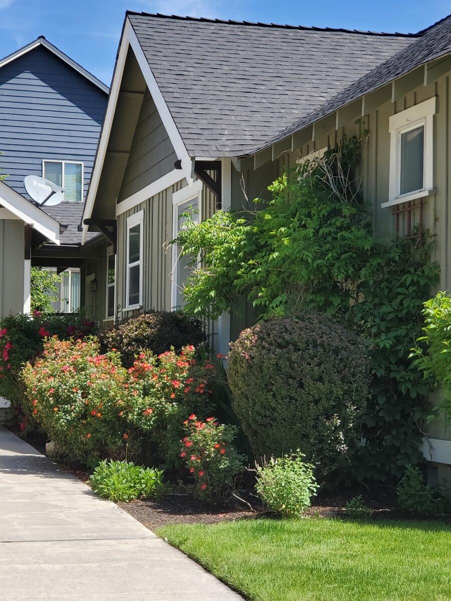 Summer Meadows - Residential